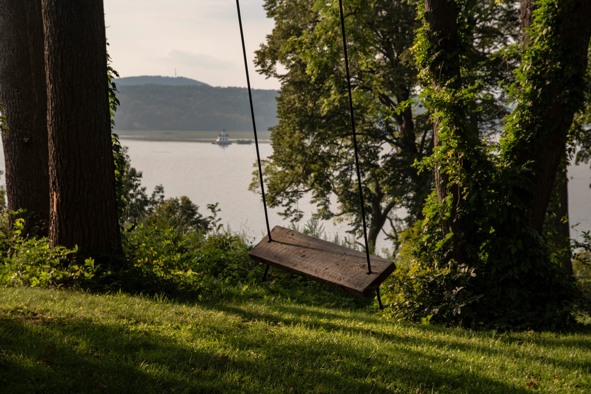 A rope swing hangs still between tall trunks above the river as the September afternoon light goes soft.