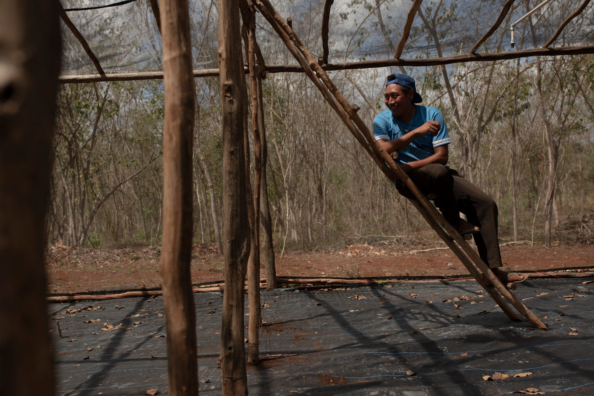A young man climbs a ladder to rig the shade frame over the nursery.
