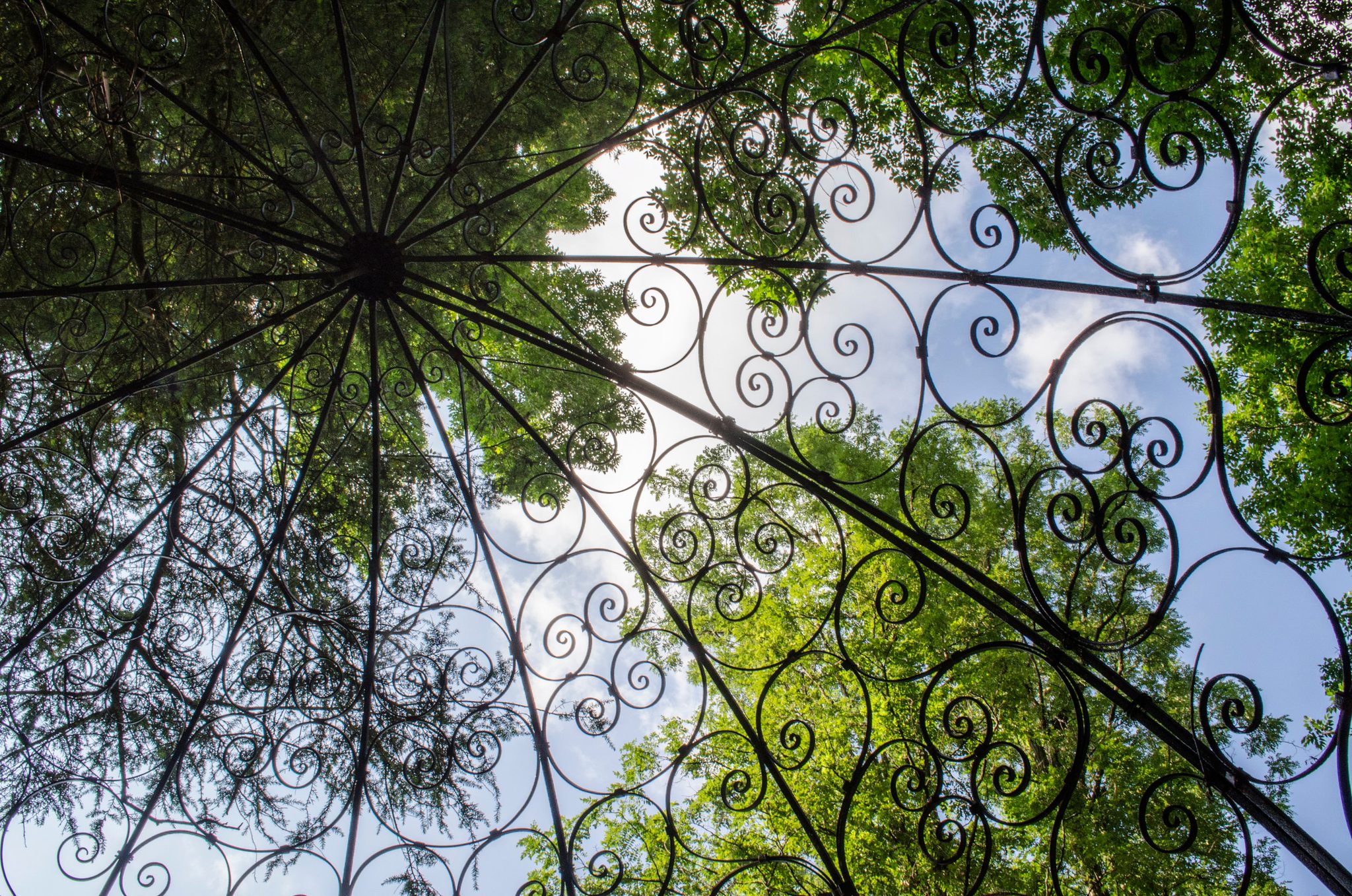 Looking up through a wrought iron gazebo to the green canopy.