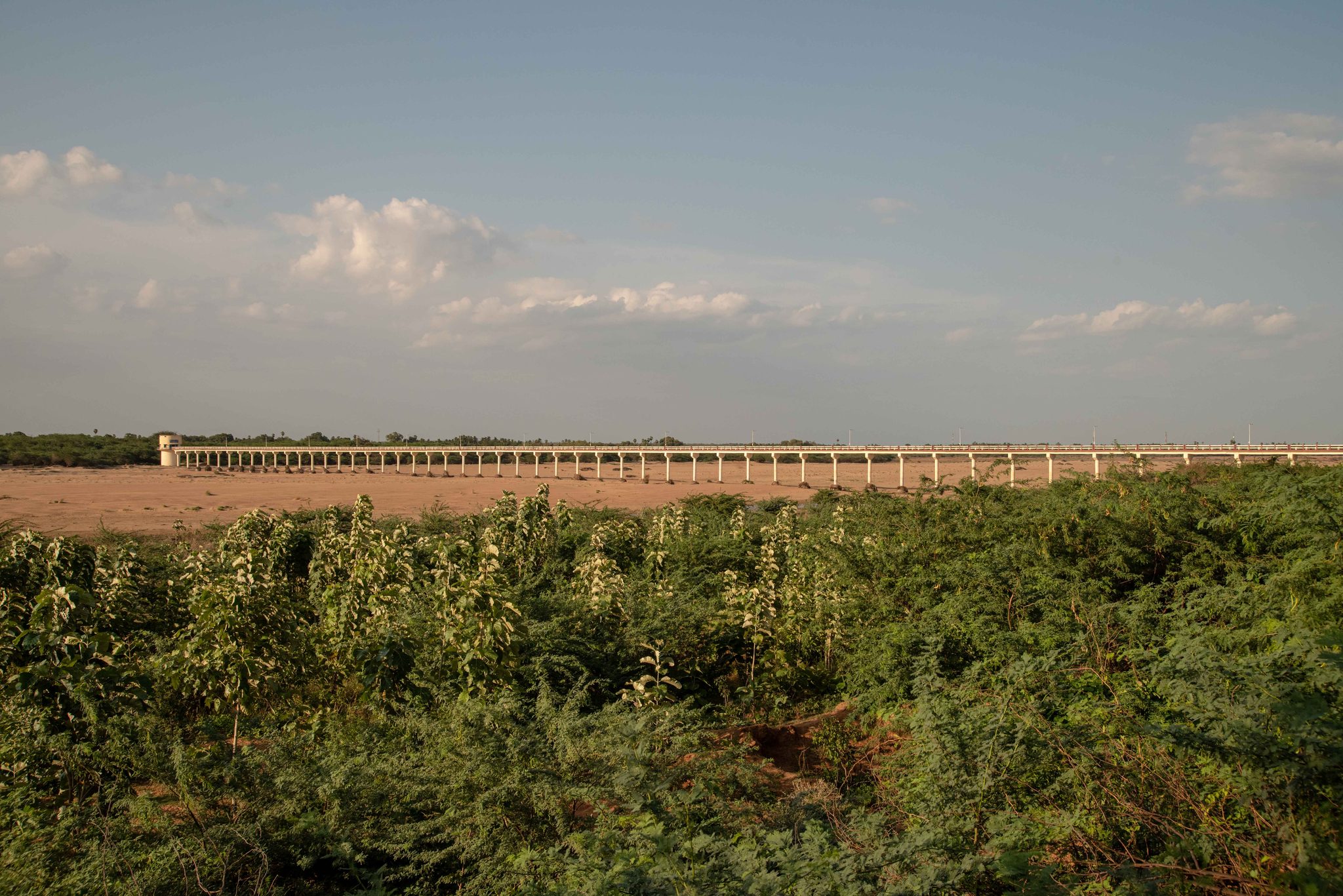 A long bridge stretches across the horizon beyond the scrub.