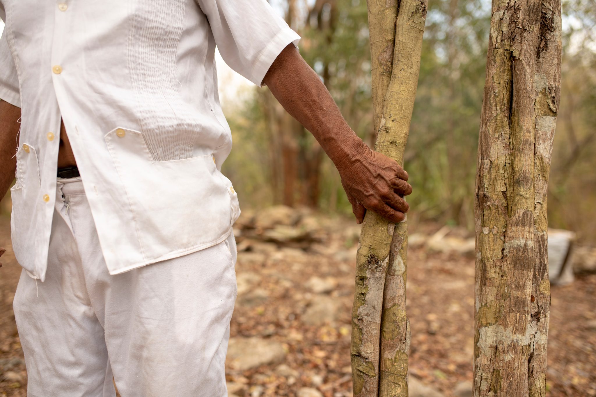 His hand rests on a slender trunk, the white of his clothes bright against the forest.