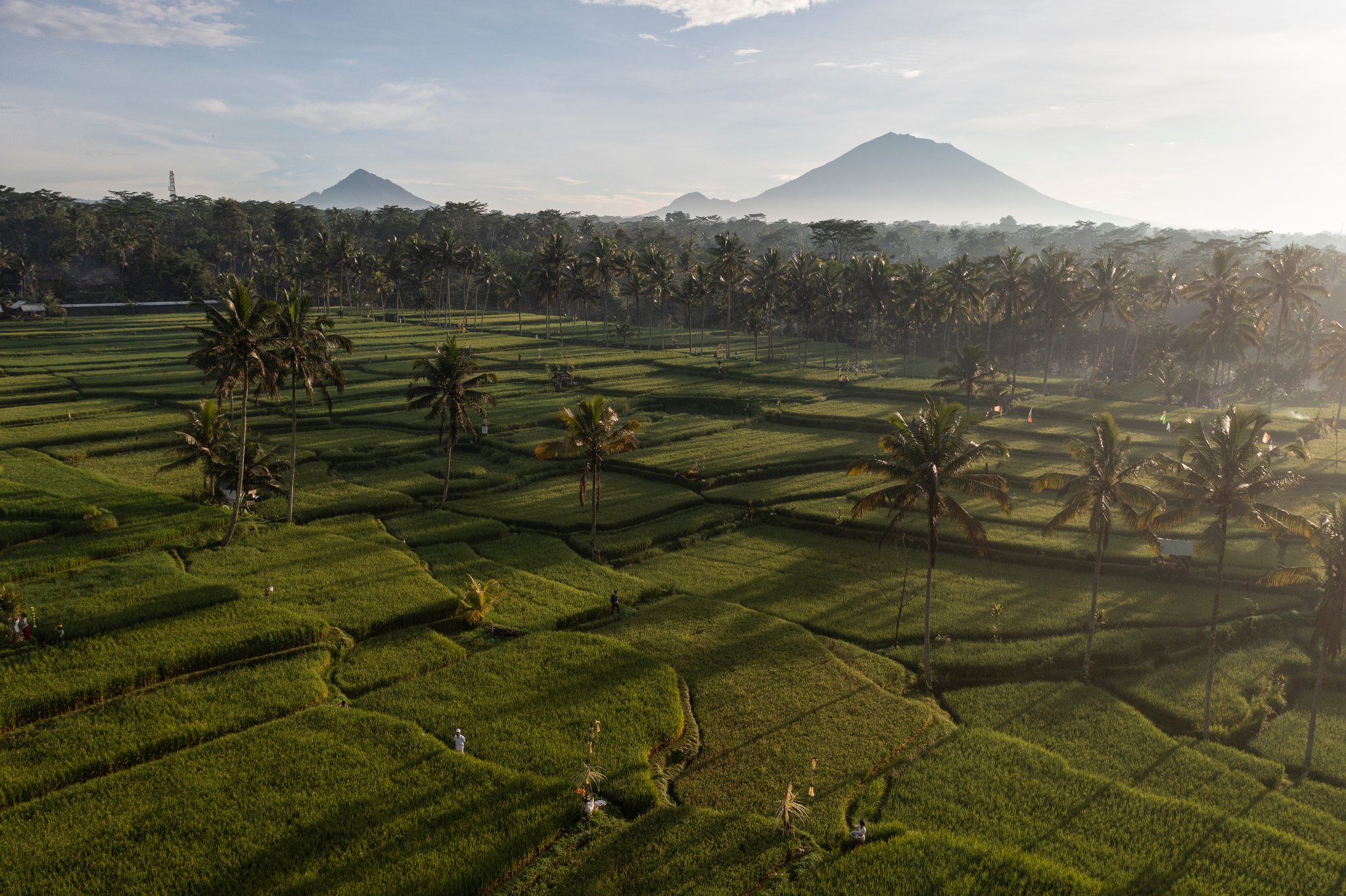 Morning haze drifts across the terraces, the volcano's cone above it all.