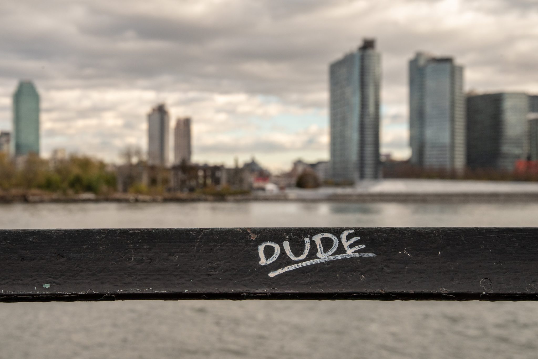 DUDE, scrawled on the railing, and the skyline across the river doesn't argue.