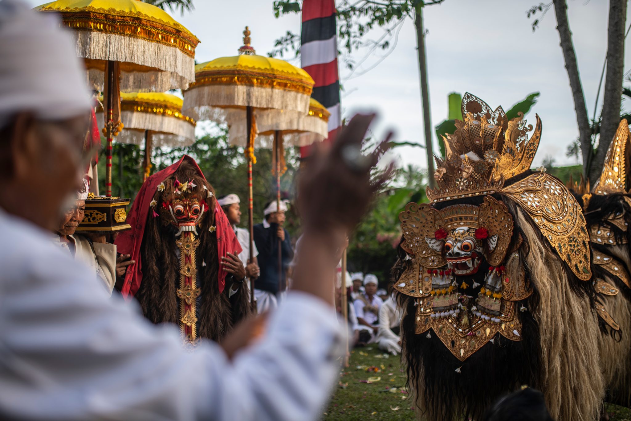 Gilded masks with manes of hair wait beneath the yellow parasols as an old man lifts his hand toward them.