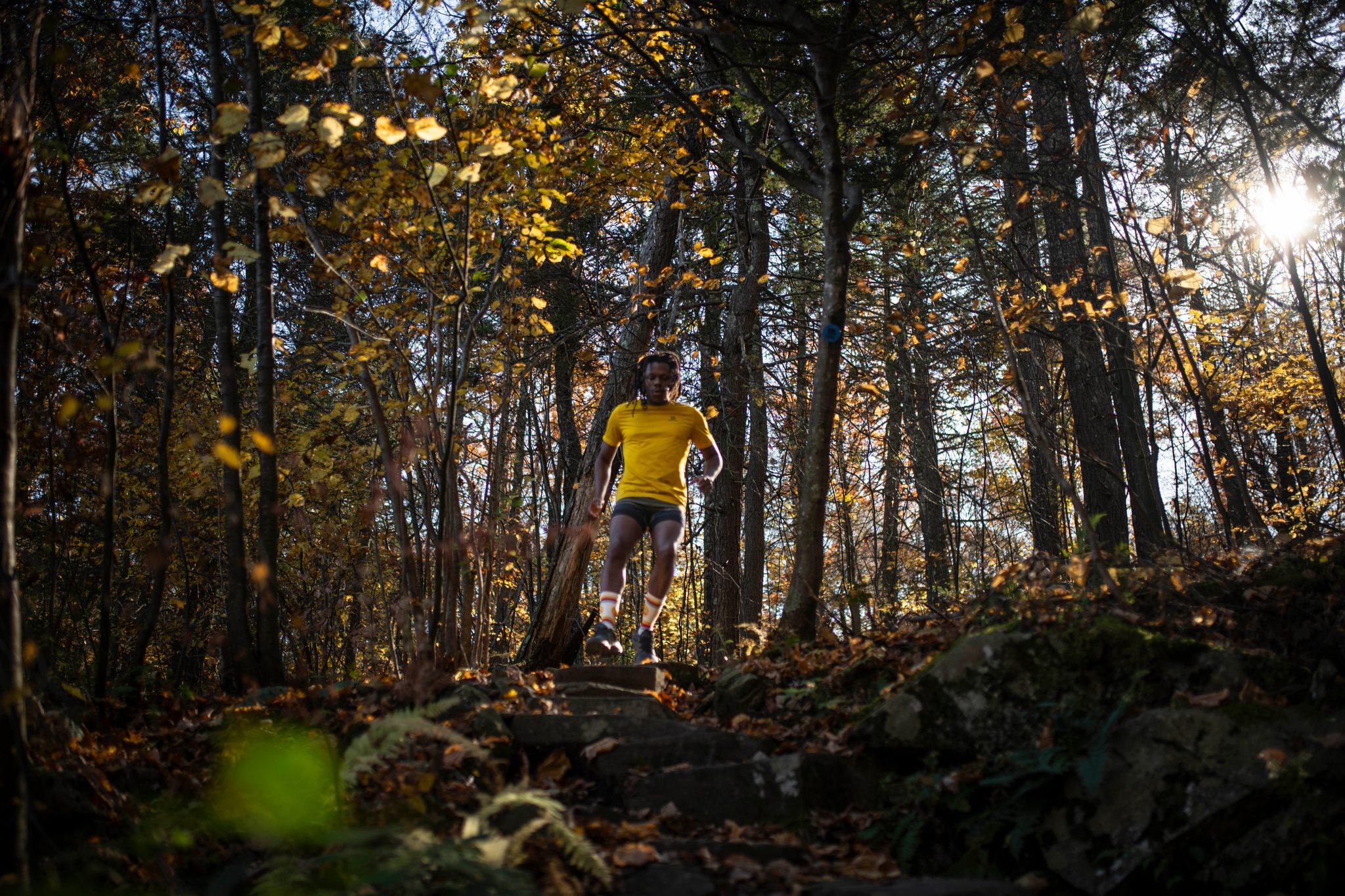 He comes down the stone steps through a forest gone gold.