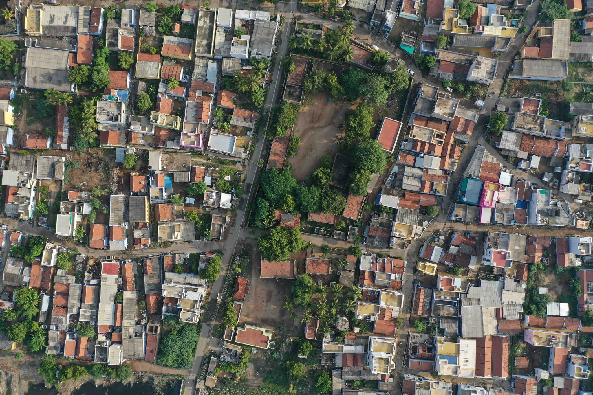 Rooftops and trees crowd together, seen straight down.