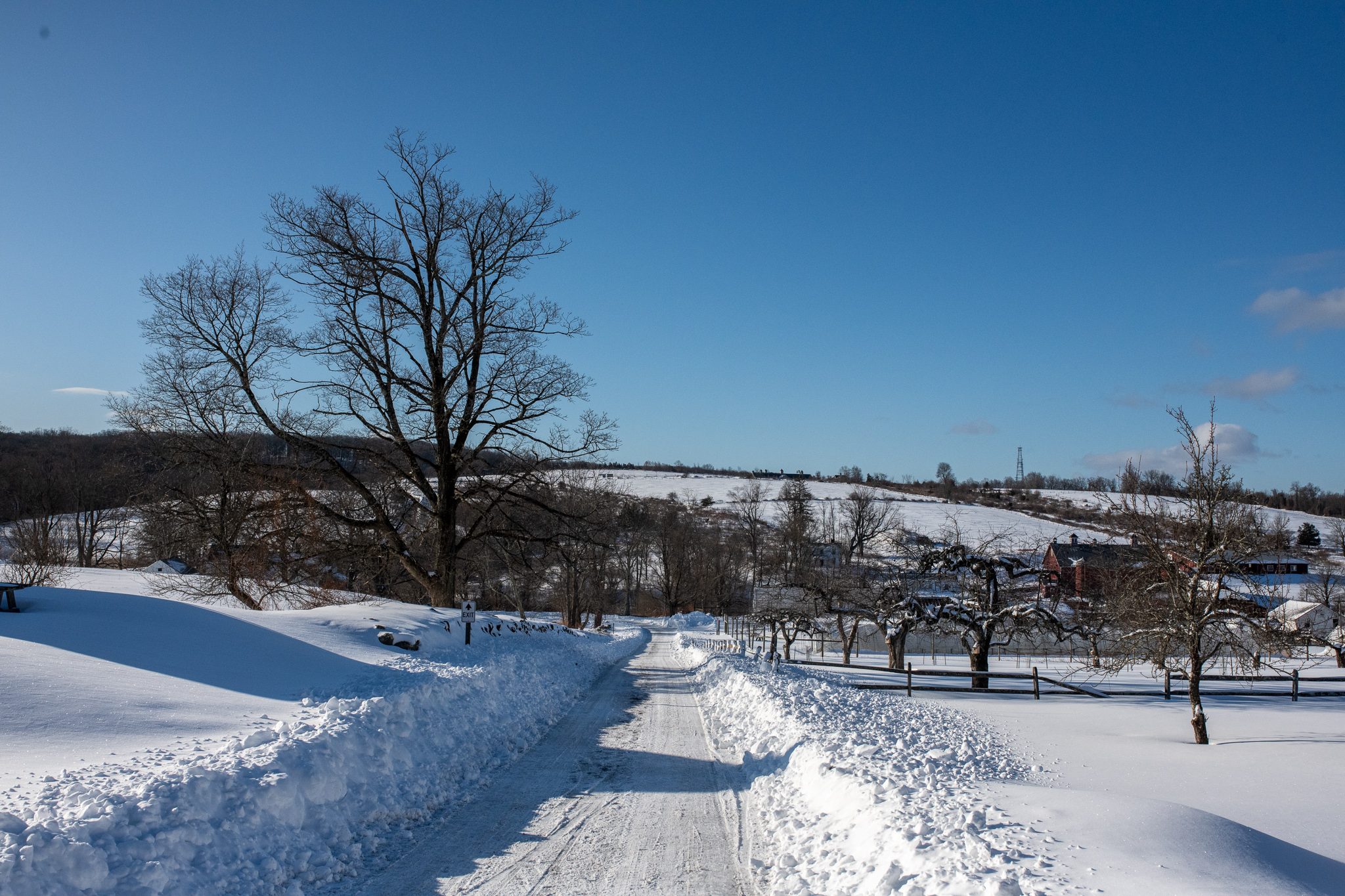 A freshly plowed lane cuts between high drifts under a clear winter sky.