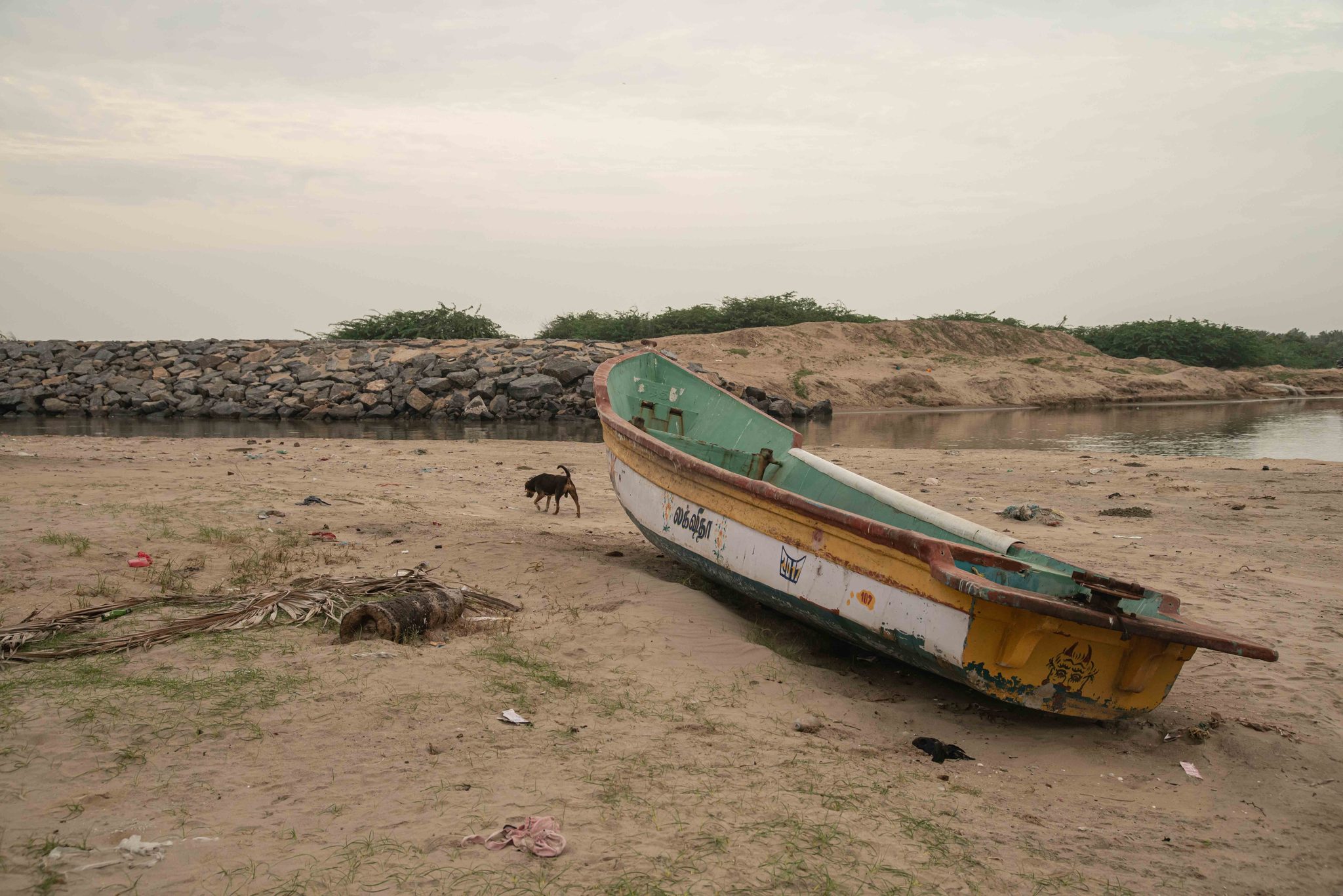 A dog wanders past a beached boat below the breakwater.
