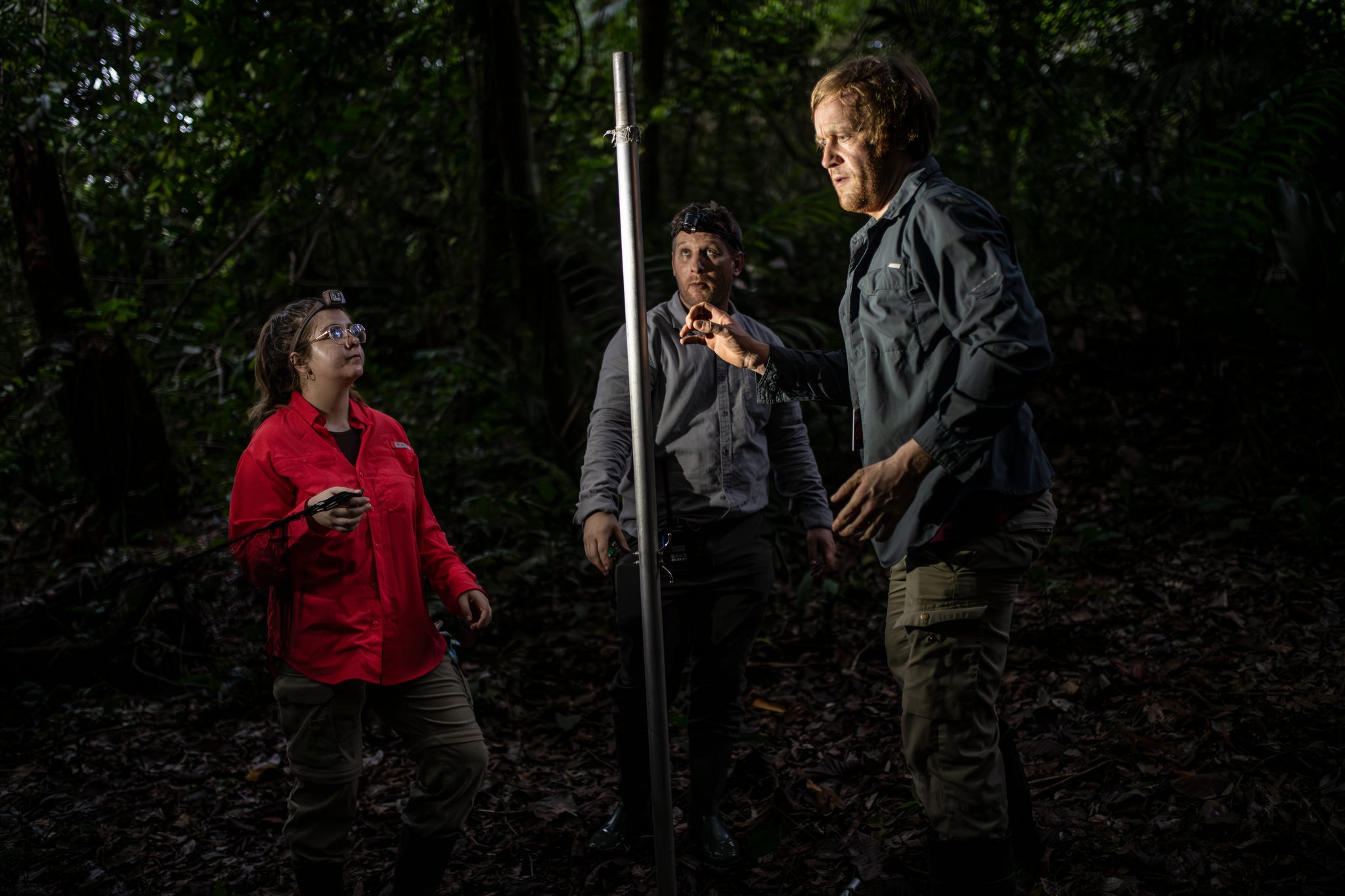Three researchers at the mist-net pole as evening comes on.