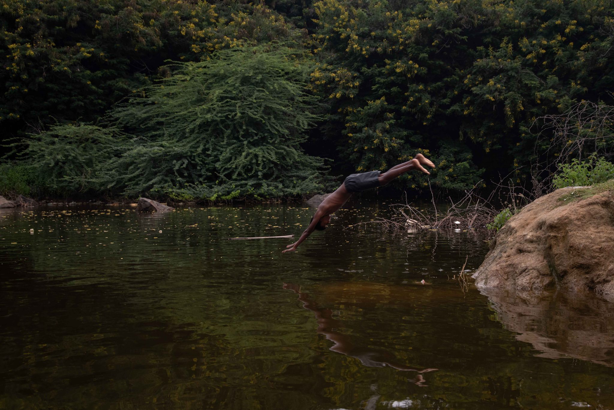 A boy launches himself headfirst into the dark pond.