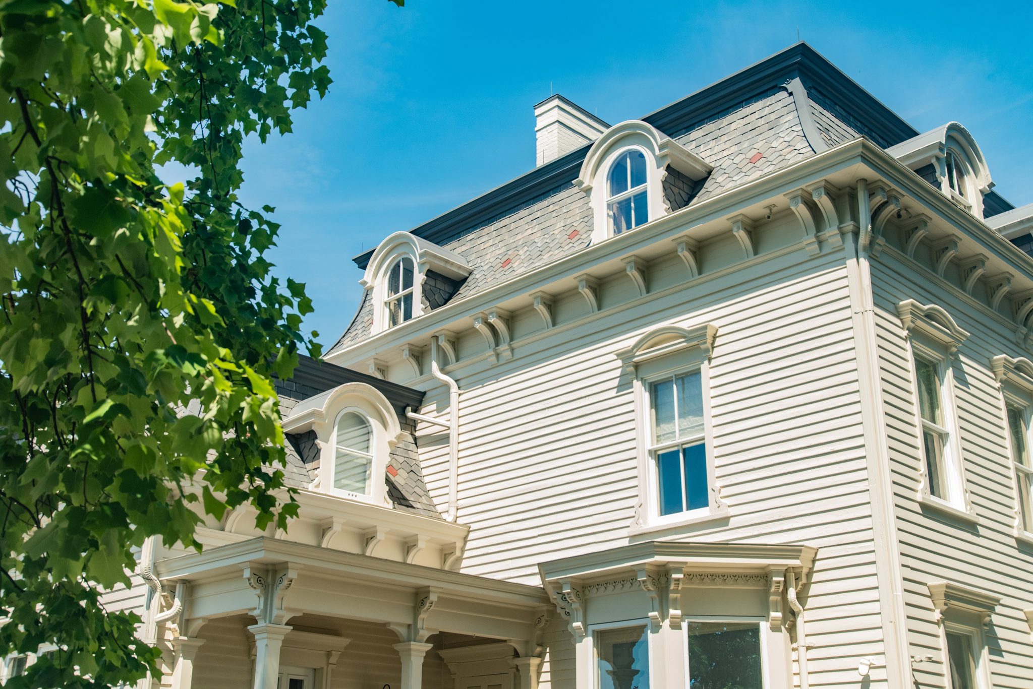 Looking up through June maple leaves at a mansard roof, arched dormers and a cornice lined with carved brackets.