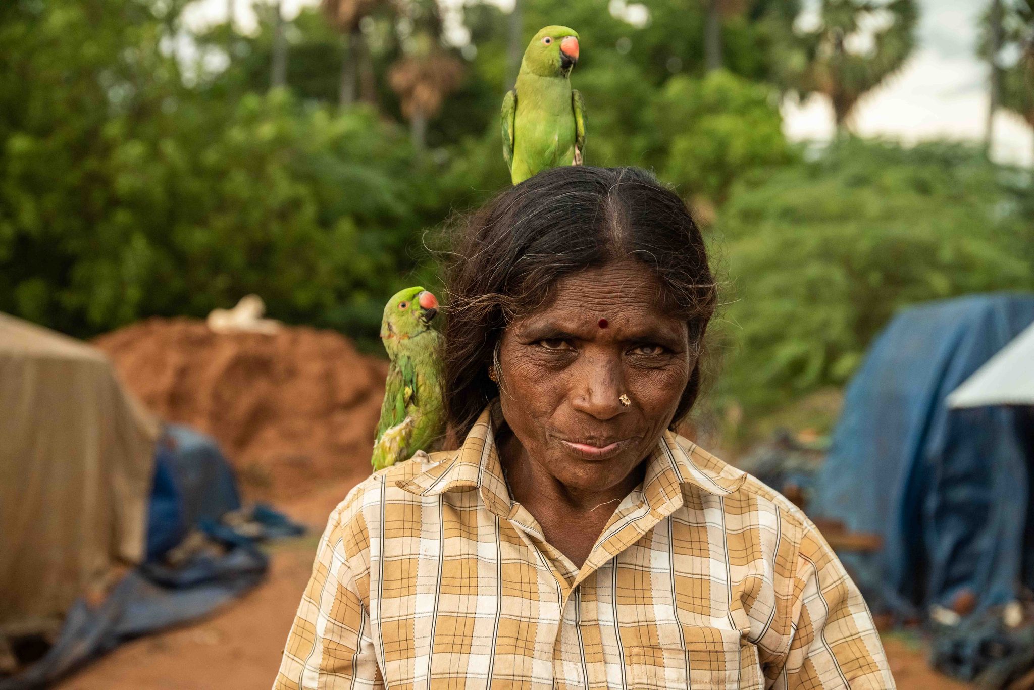 A woman looks up with a green parakeet perched on her head and another on her shoulder.