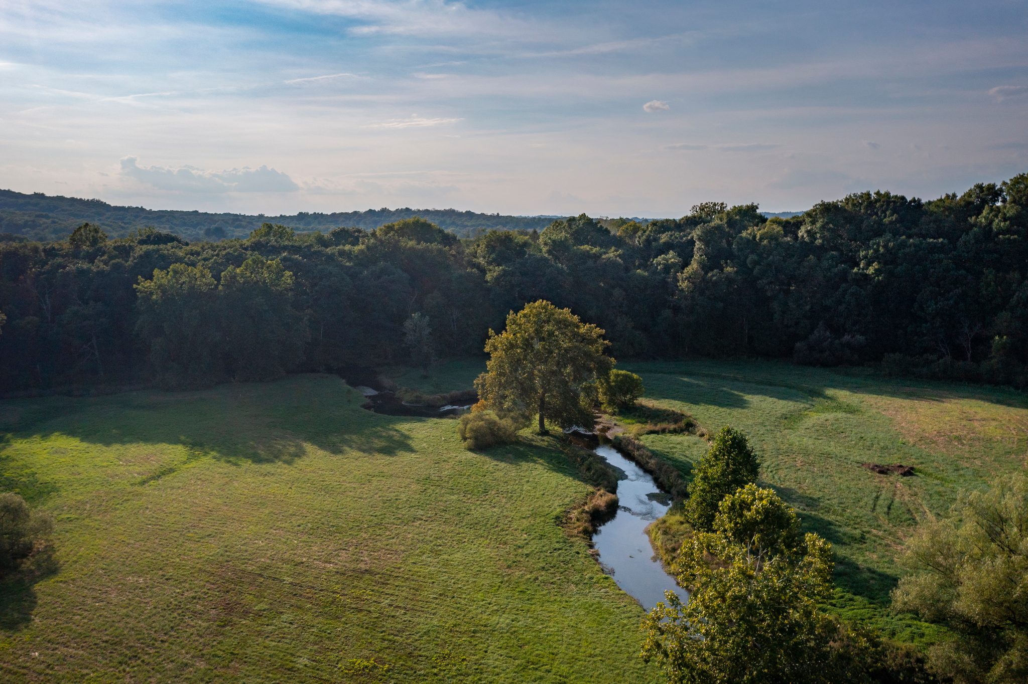 From above, the stream loops around a lone tree in the lower meadow.