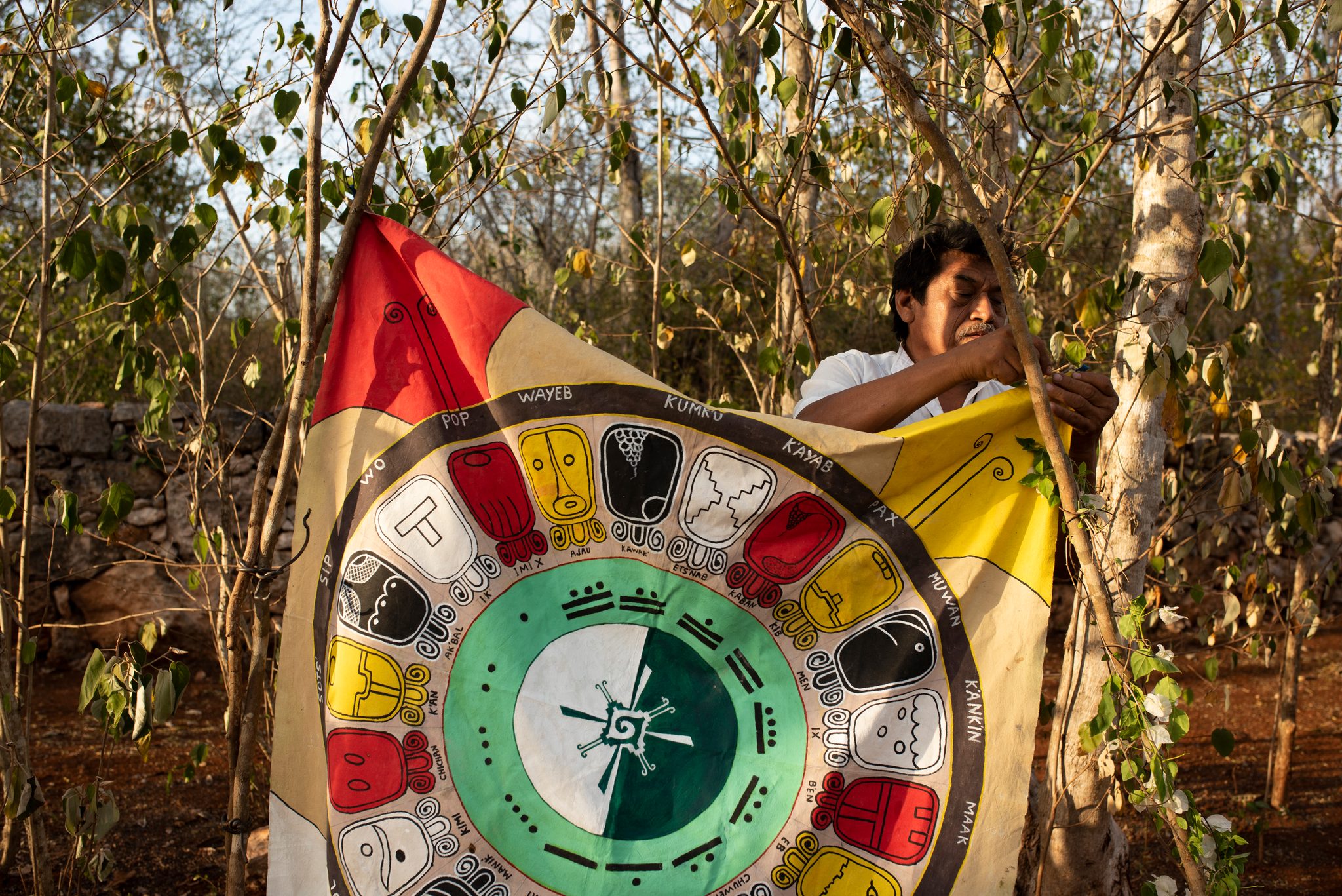 A man unfurls a banner painted with the Maya calendar among the trees.