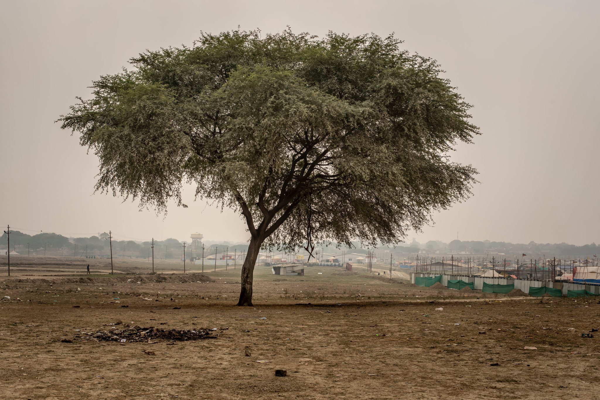 A lone tree stands over the bare riverbed at the edge of the camps.