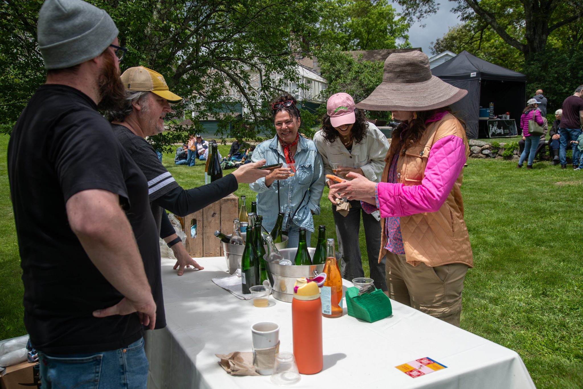 Cider tasting under the trees, poured from a table crowded with bottles.