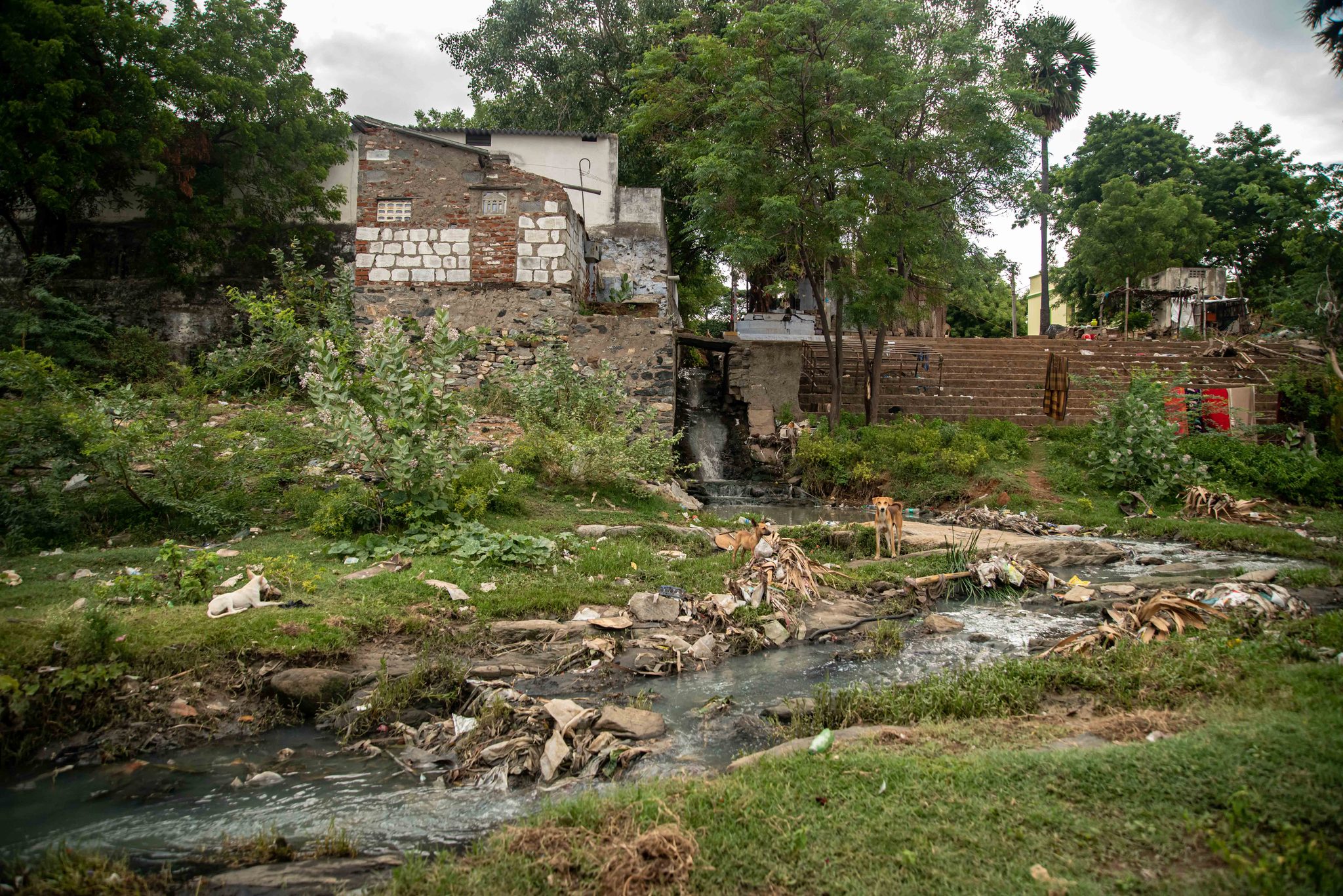 A stream runs thick with rubbish past the backs of houses.