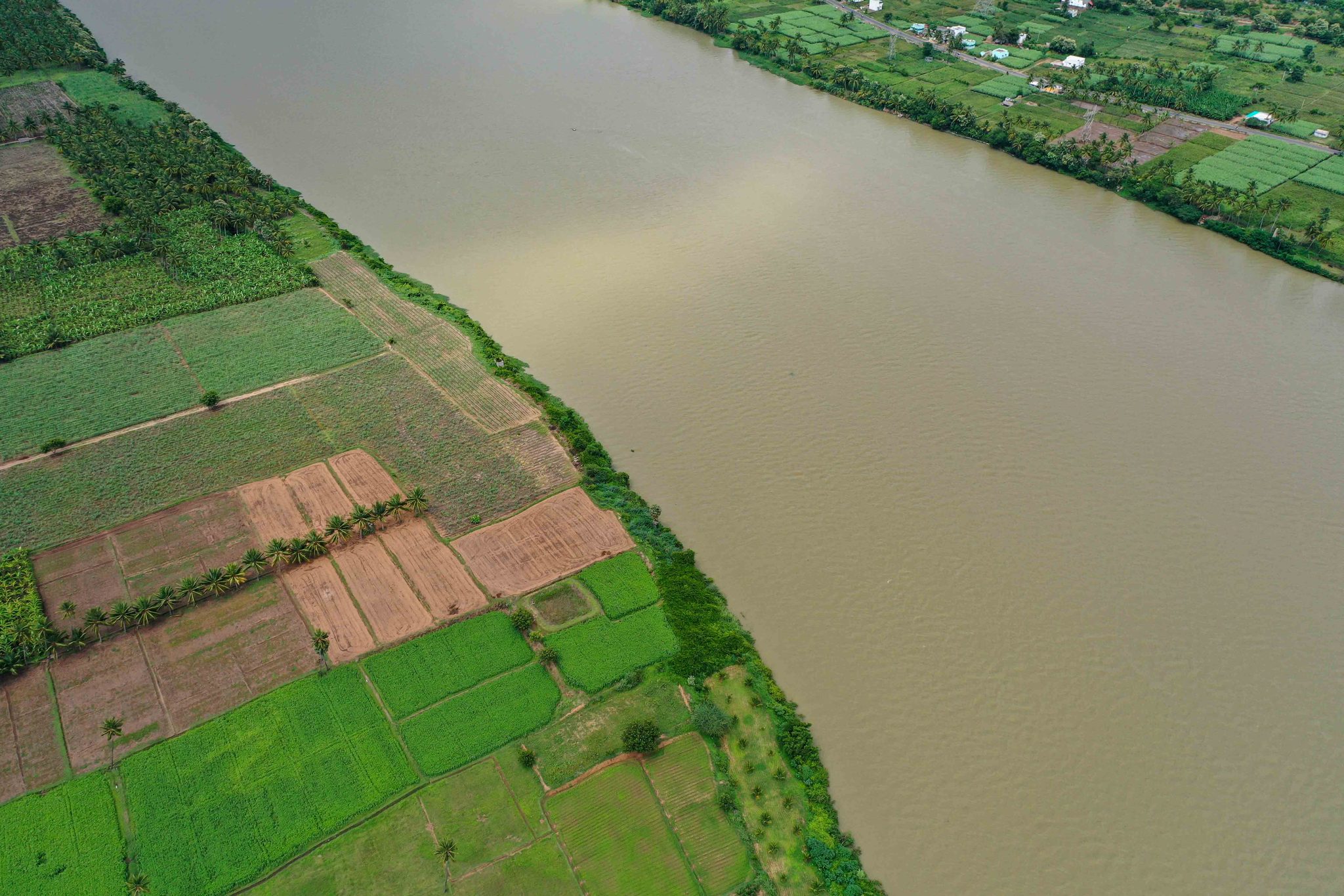 The river sweeps past a quilt of green and red plots.