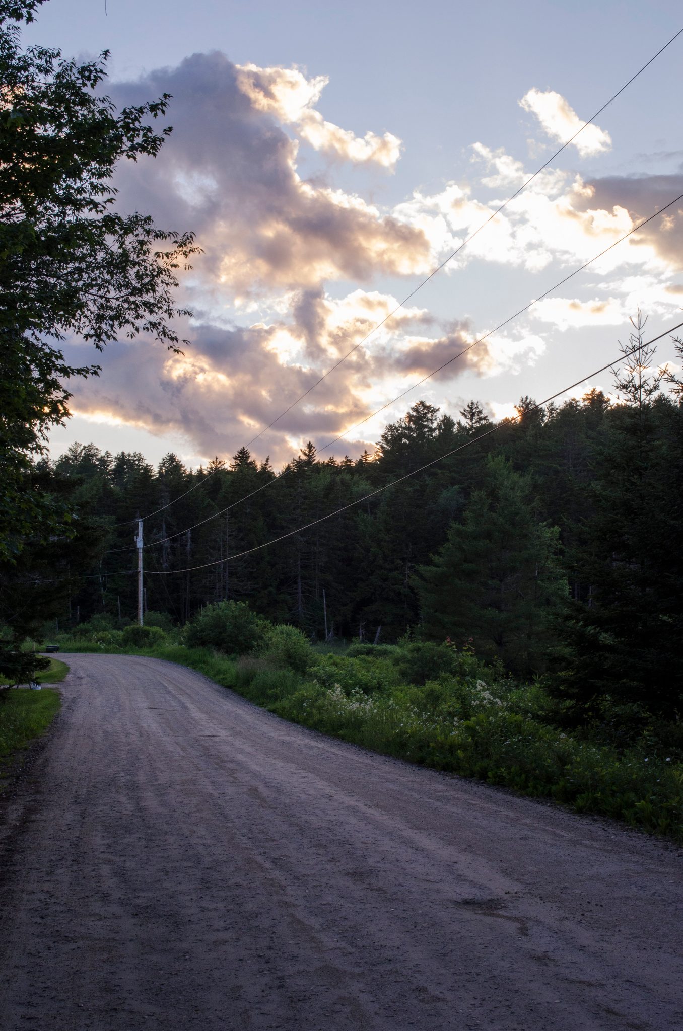A dirt road runs off into the pines beneath a sky of pink clouds. It is the very same road that brought me to you that will carry me away.