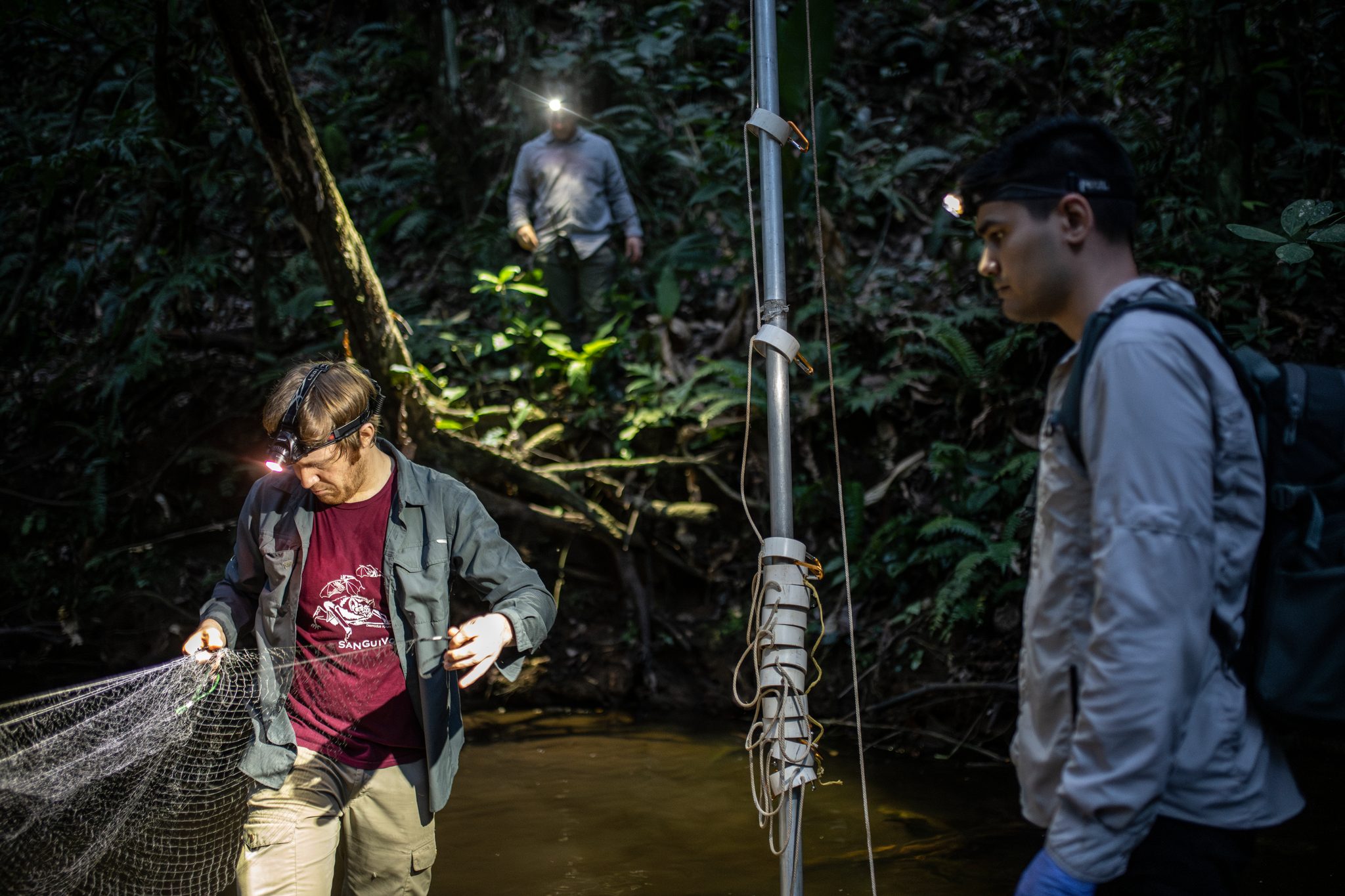Headlamps on: the net is gathered in over the stream.