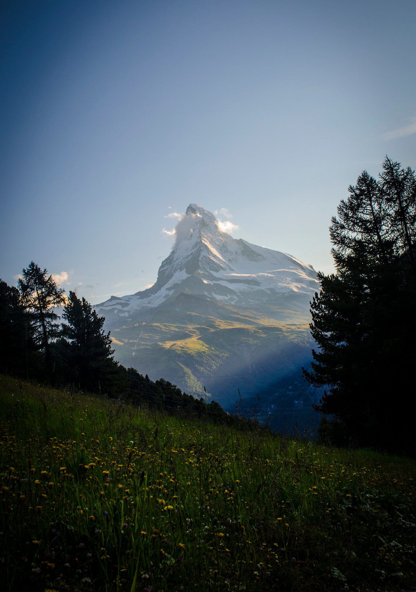 The Matterhorn catches the last light between the larches.