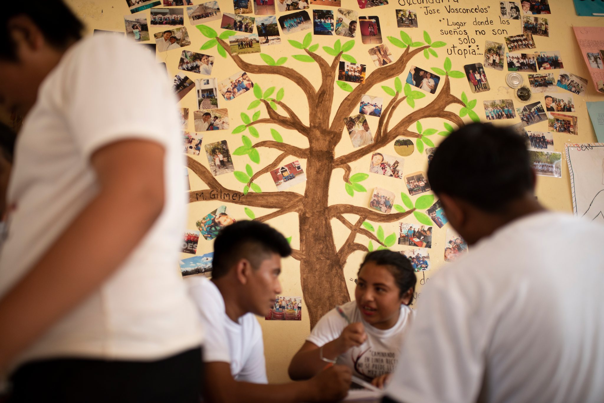 Students laugh around a table beneath a painted tree covered in photos.