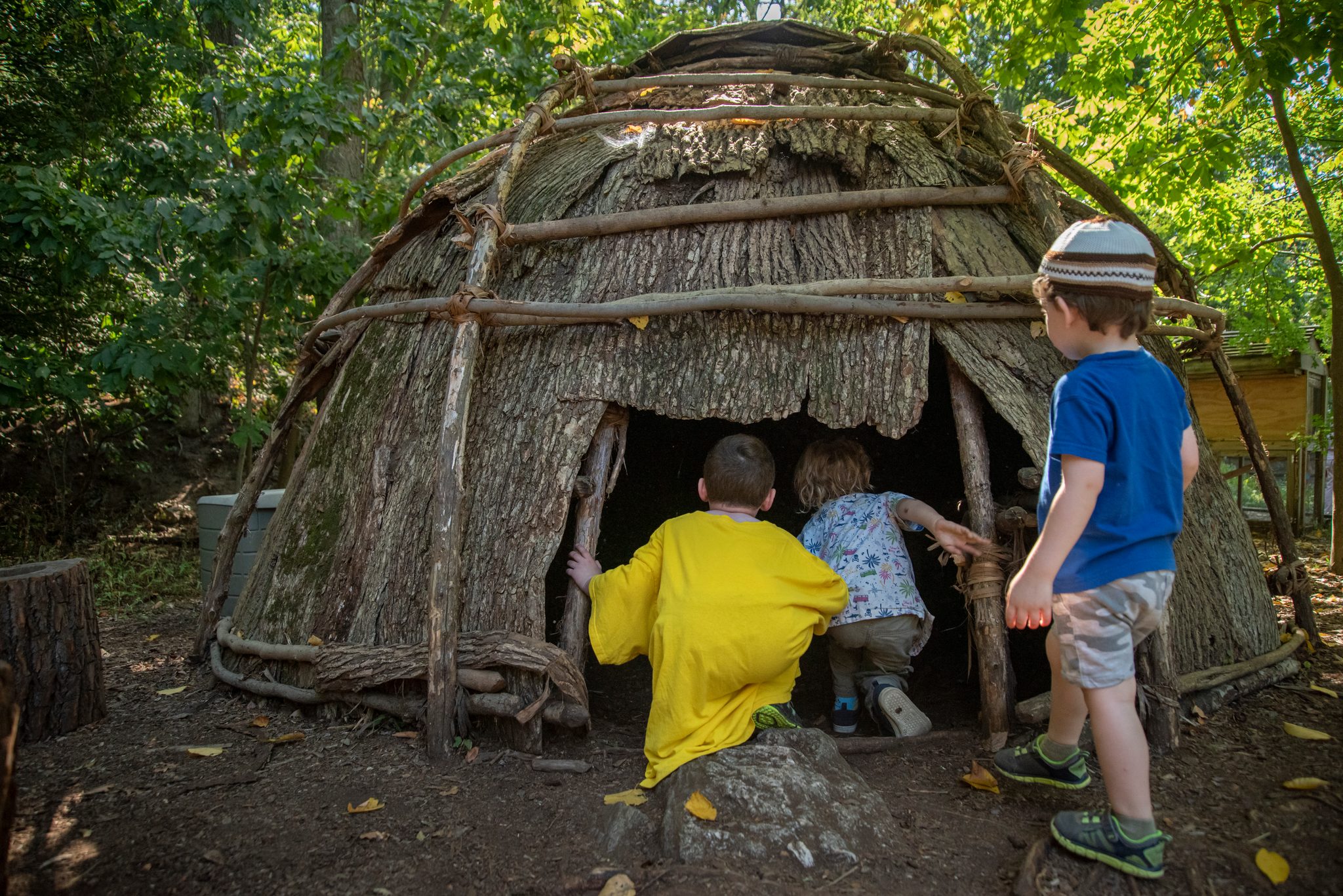 Three boys duck into a bark-covered shelter in the woods, the smallest keeping watch outside.