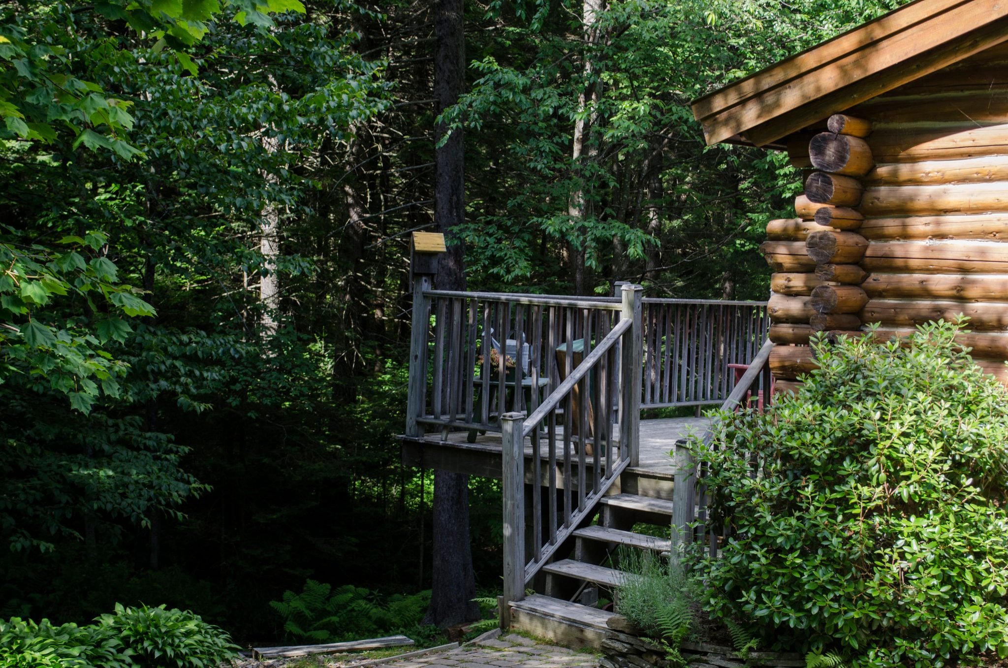 Wooden steps lead up to the porch of the log cabin in the woods.