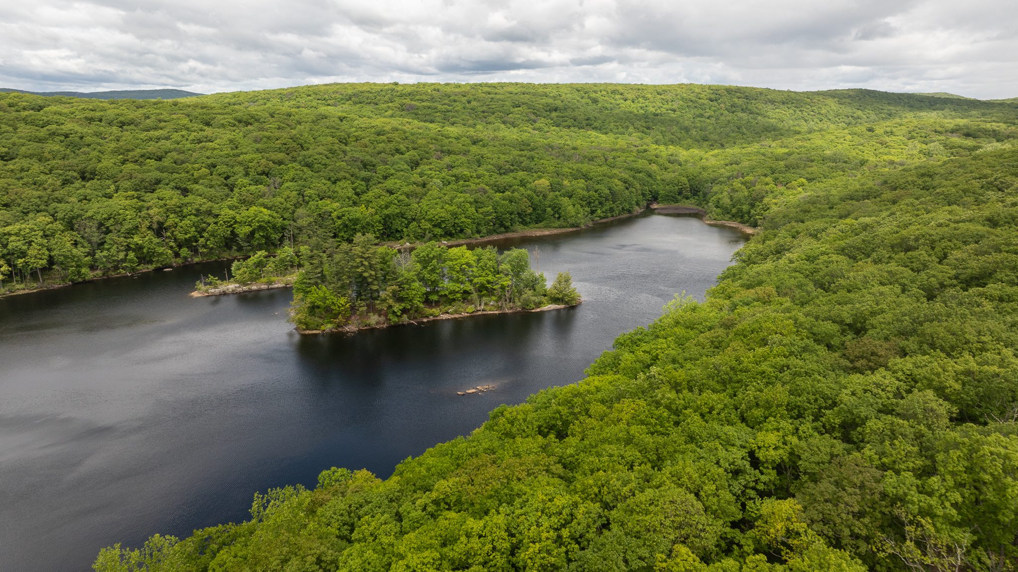 A small wooded island sits in the middle of a lake, forest on every shore.
