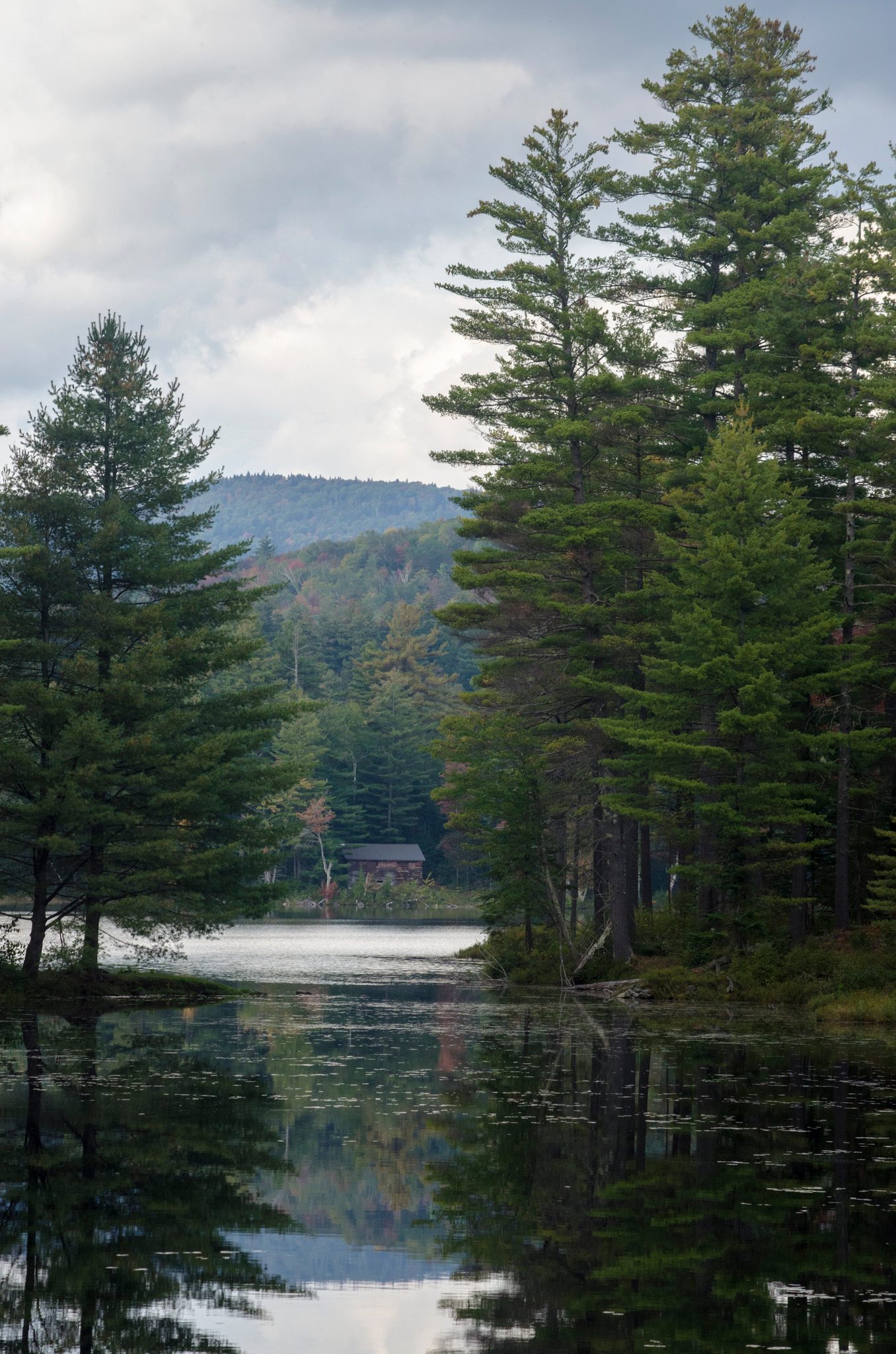 Pines frame the calm of Lowell Lake.