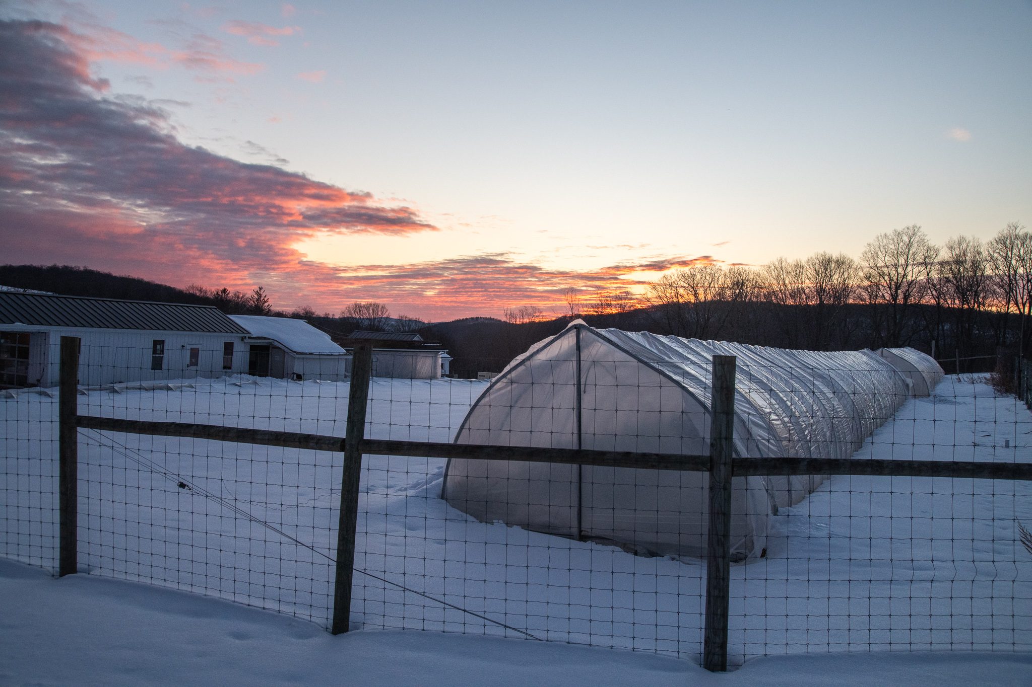 A hoop house rests under snow as the evening sky turns pink.