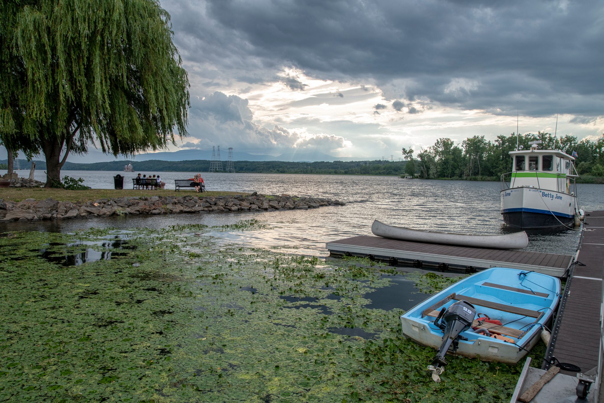 A willow, small boats and duckweed along the shore under storm cloud.