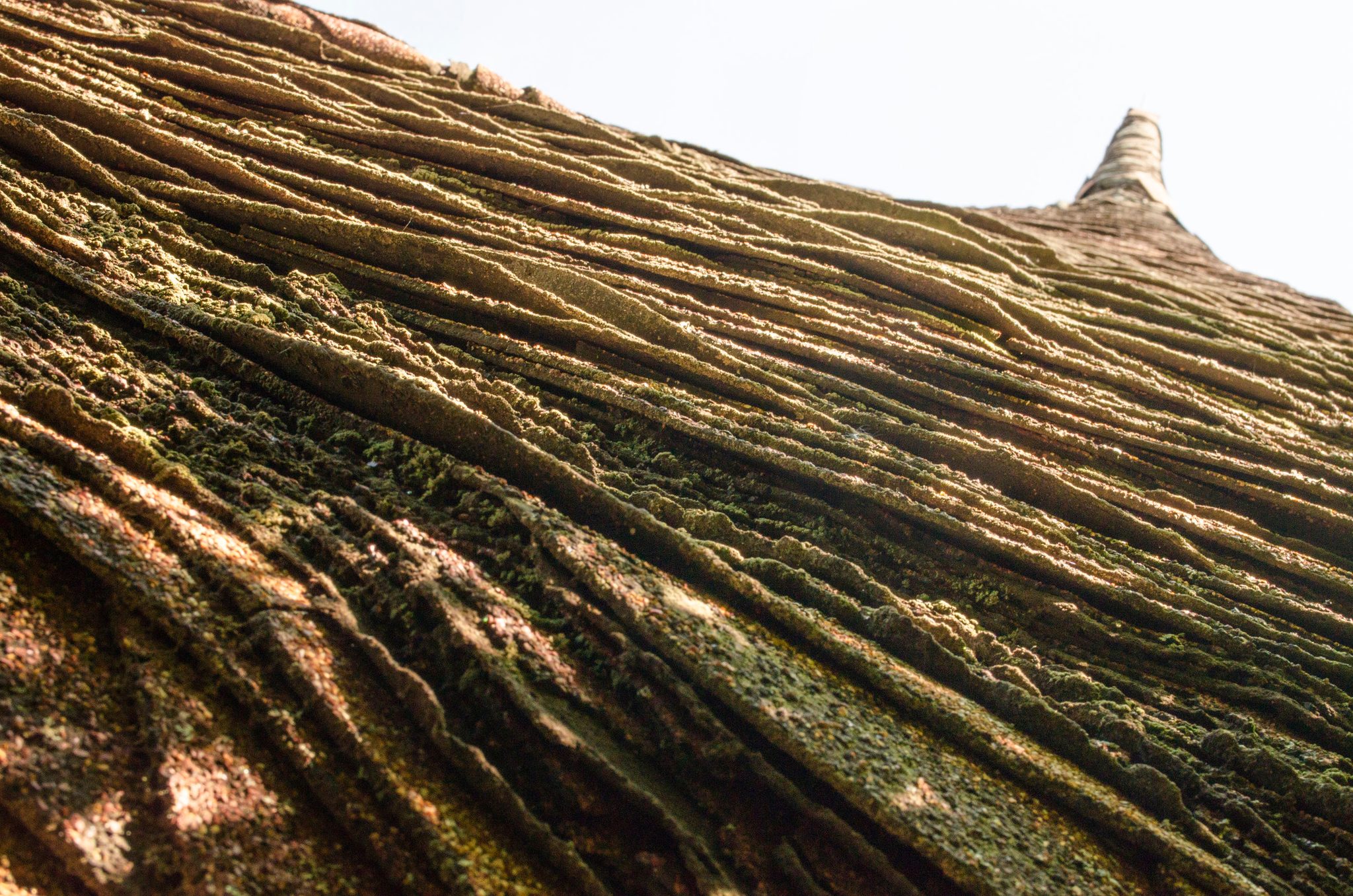Close up, the thatched roof ripples like waves of weathered wood.