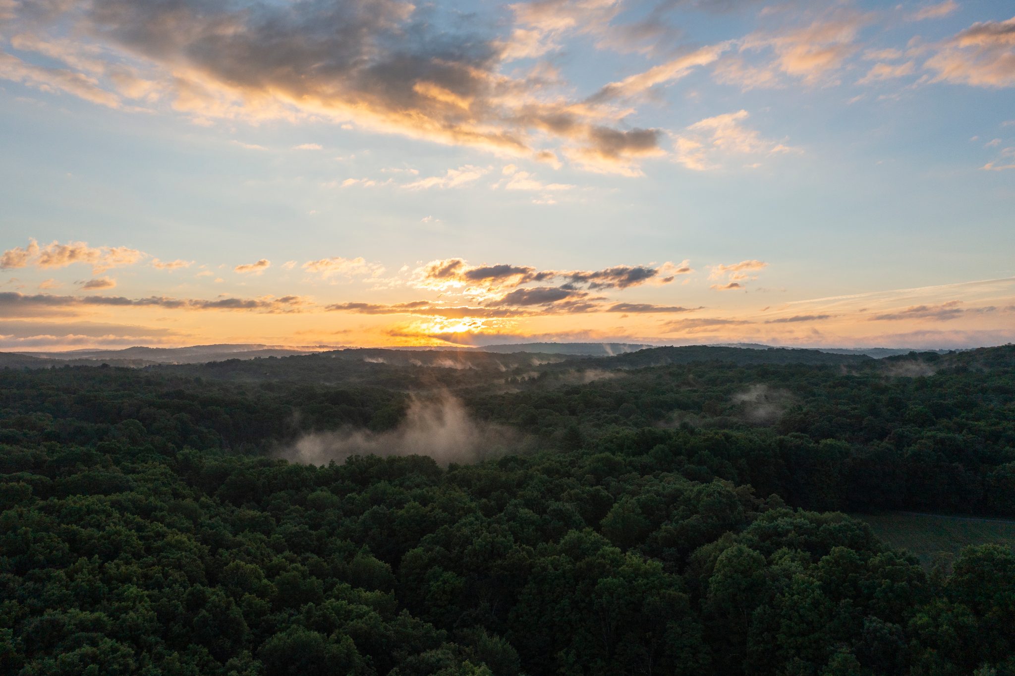 The sun sits on the ridgeline while mist drifts up out of the forest below.