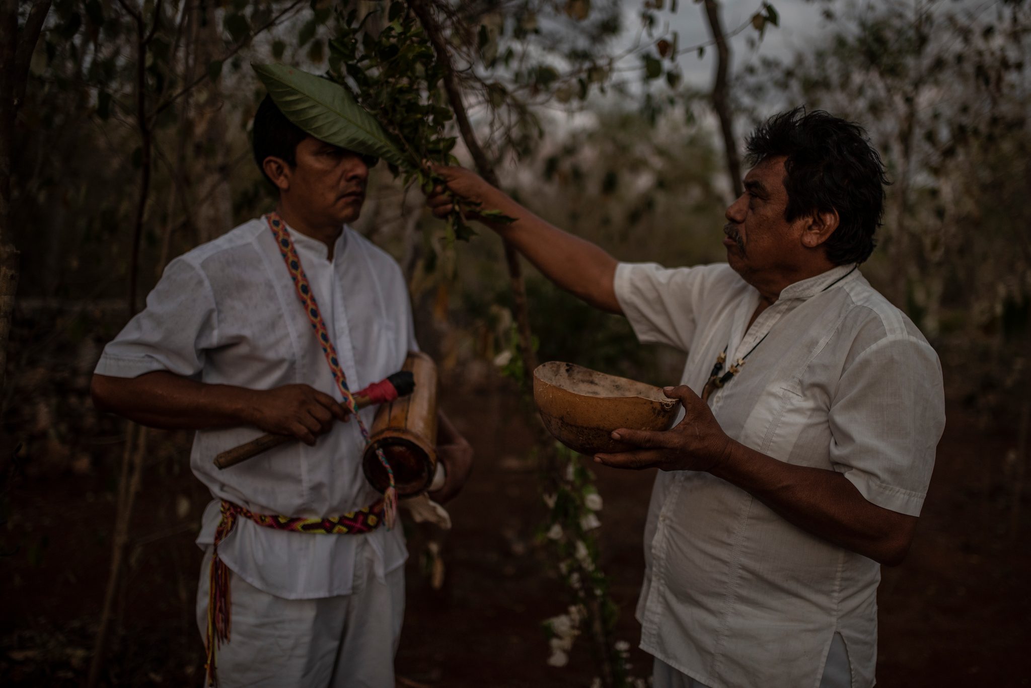Two men in white hold the offerings as one reaches up into the branches.