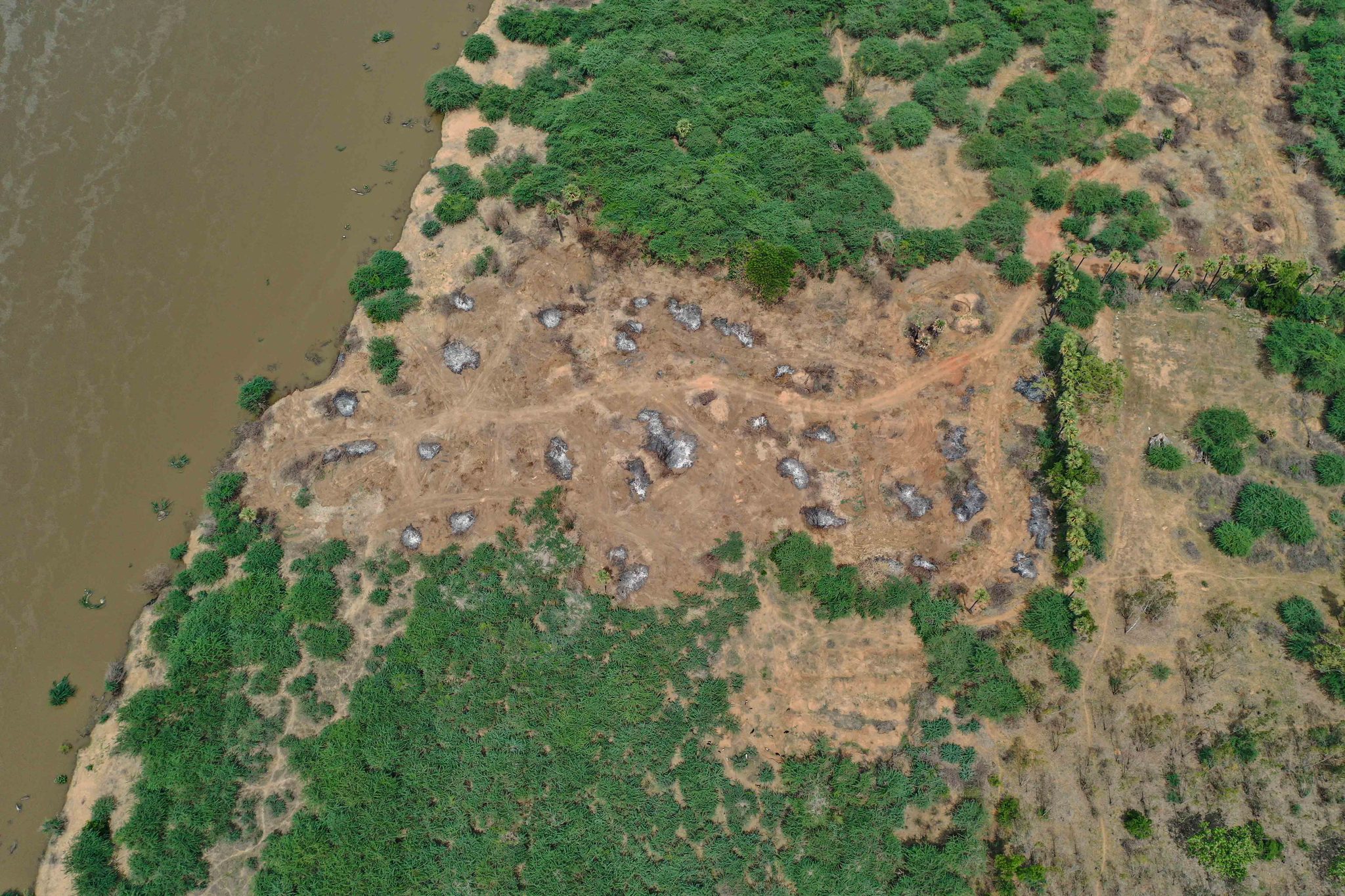 A sandy bank pocked with pits borders the river, seen straight down.
