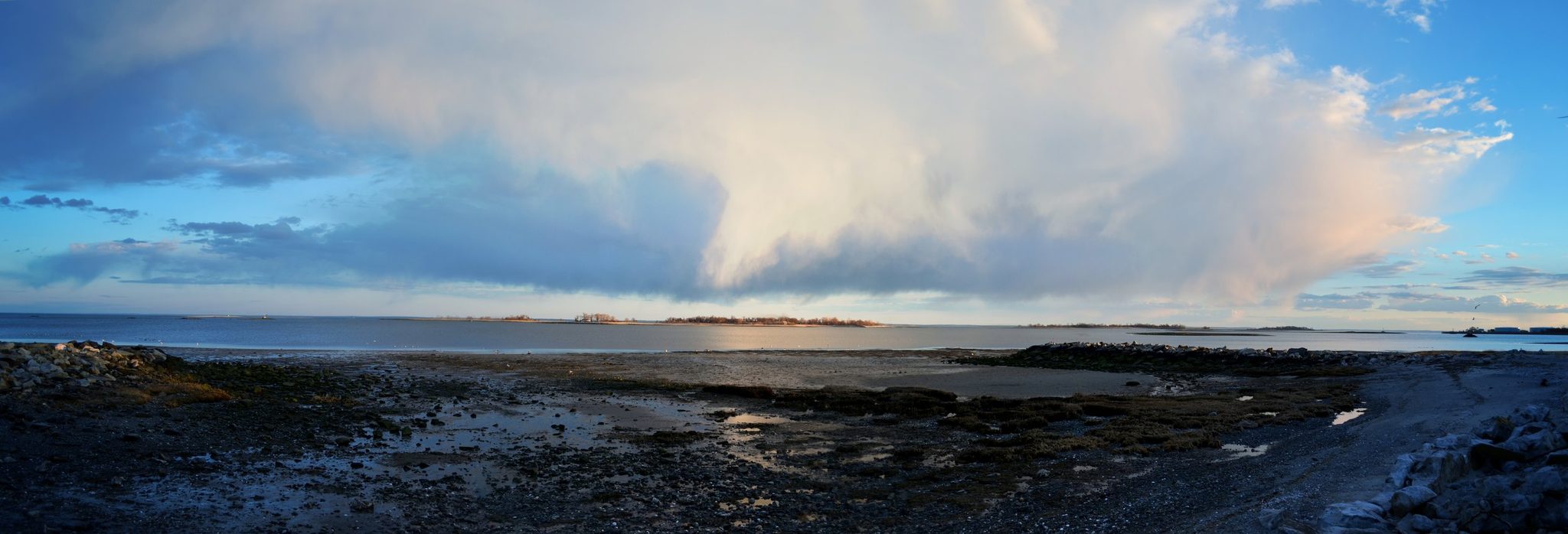 A storm cloud towers over the flats as the tide goes out.