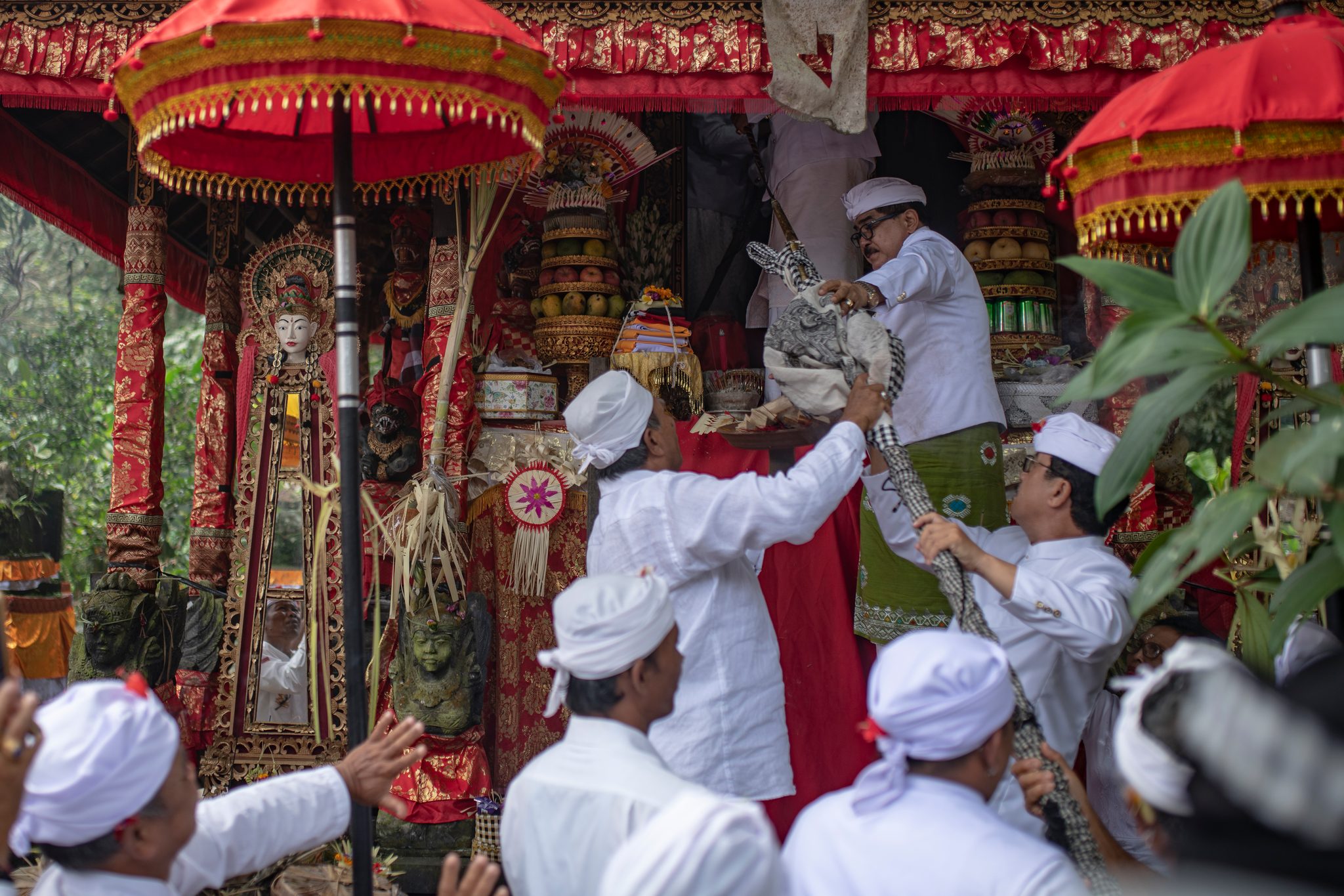 Men in white headcloths dress the shrine in red and gold, lifting the sacred figures into place.