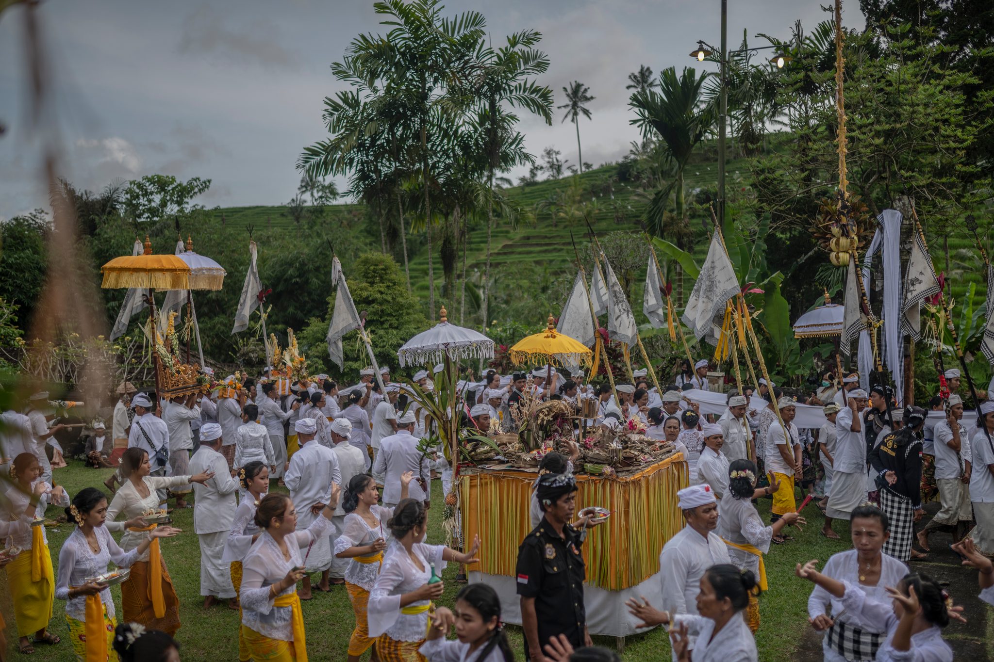 The courtyard fills with white and gold, rice terraces climbing the hill beyond the temple.