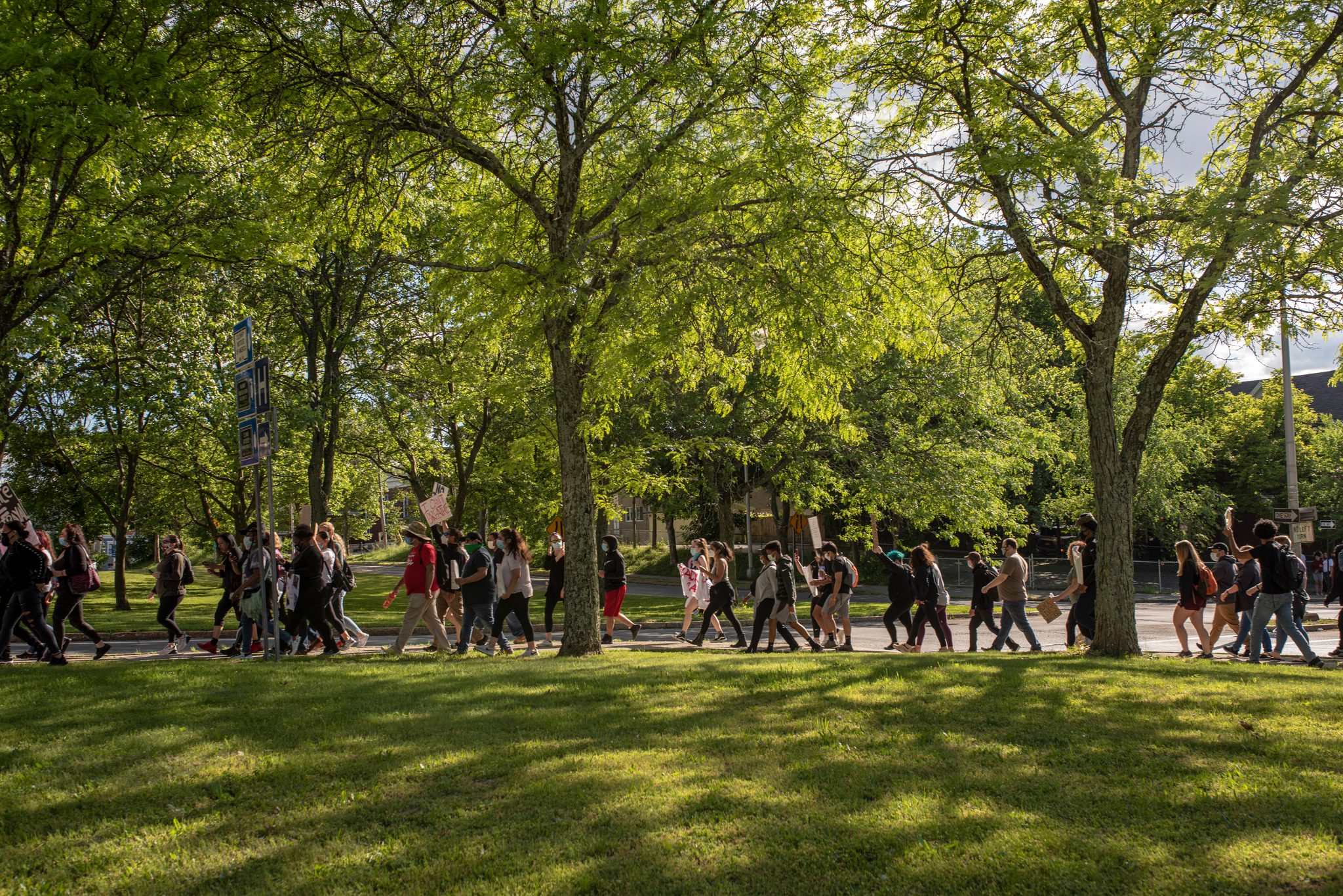 The march stretches the length of the park, one long line of people beneath the new green of the trees.