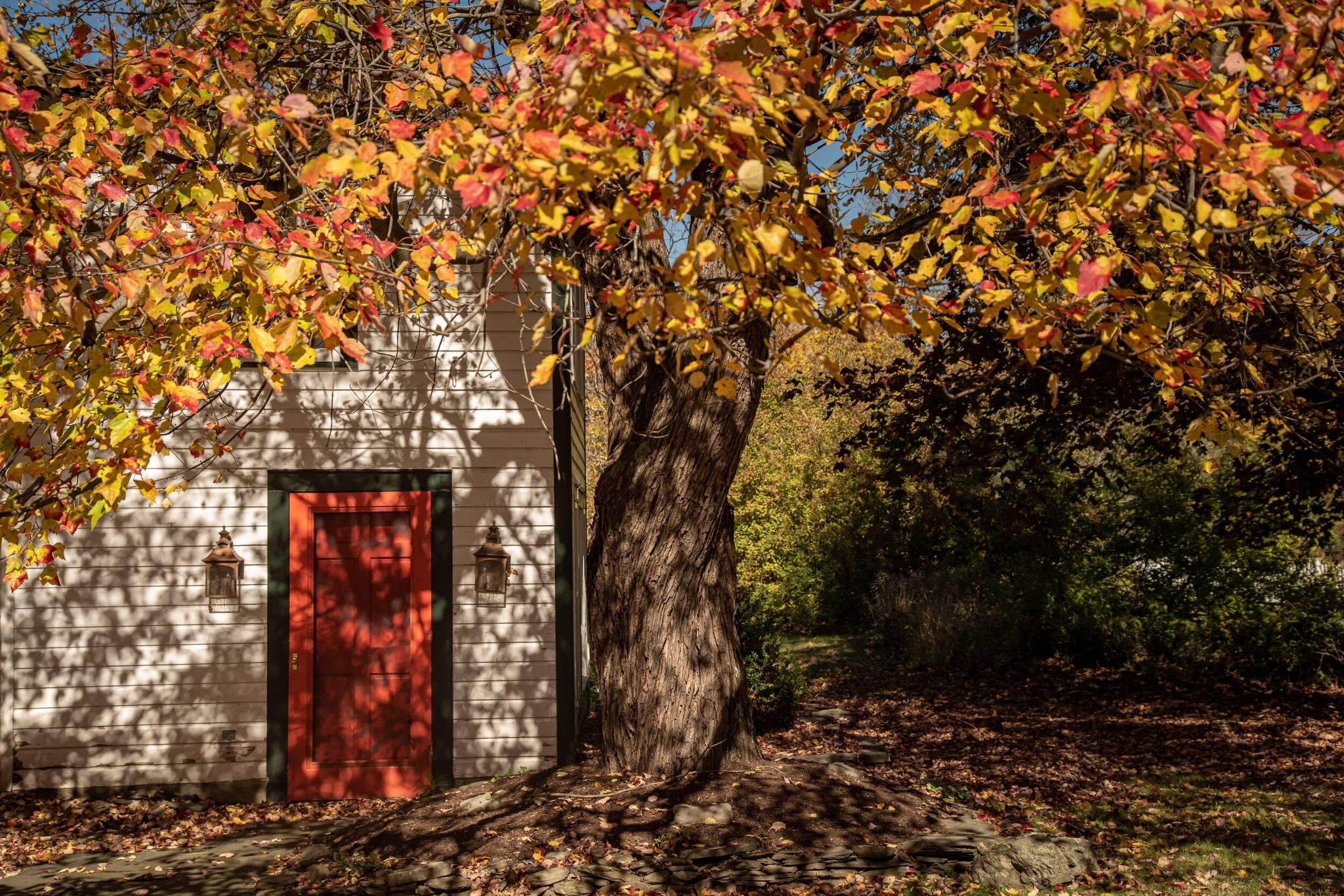 A red door tucked under a copper-leaved tree in mid-October, with fallen leaves drifting across the path.