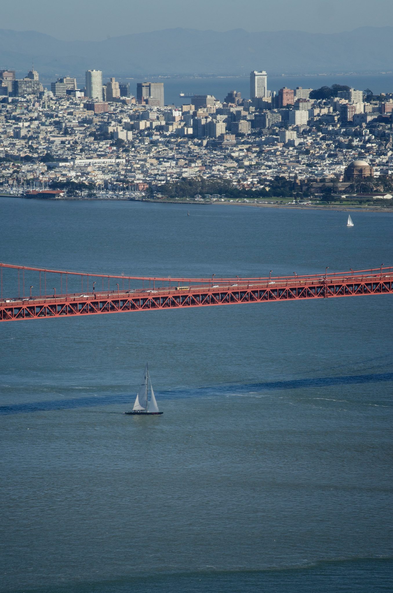 A sailboat crosses beneath the Golden Gate's red span, the city stacked beyond.