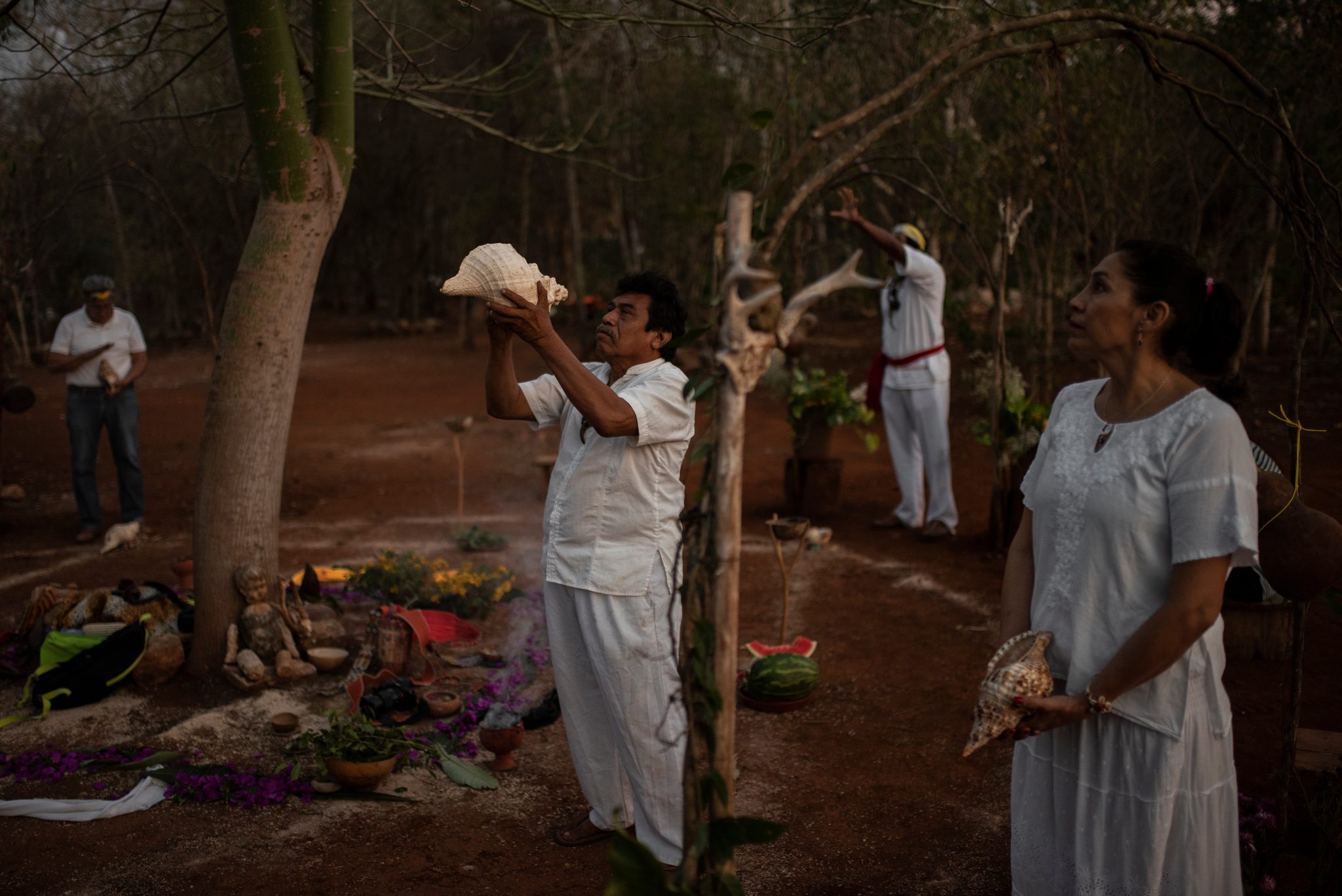 The conch shells sound together as the ceremony opens in the forest.