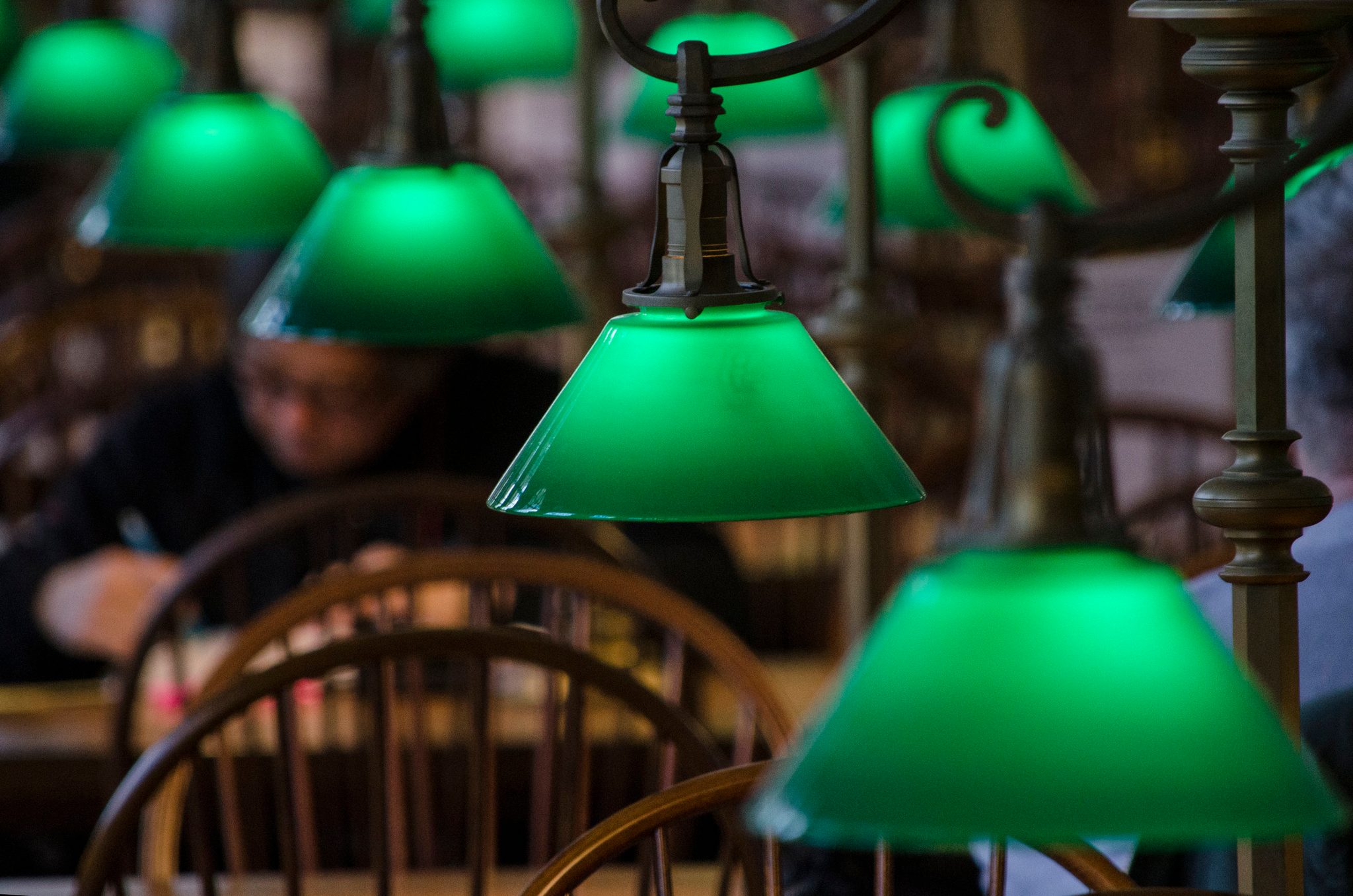 Rows of green banker's lamps glow over the reading tables.