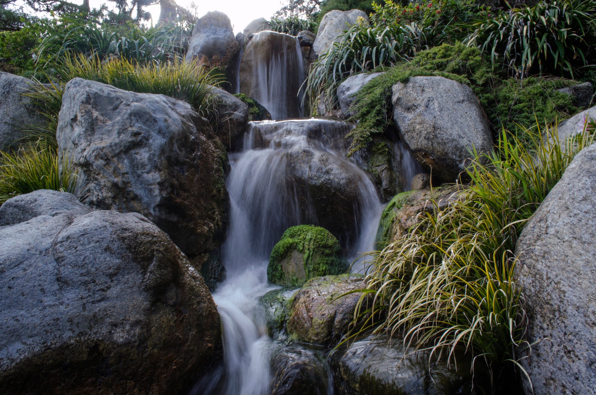 A small waterfall tumbles over boulders and tall grass.
