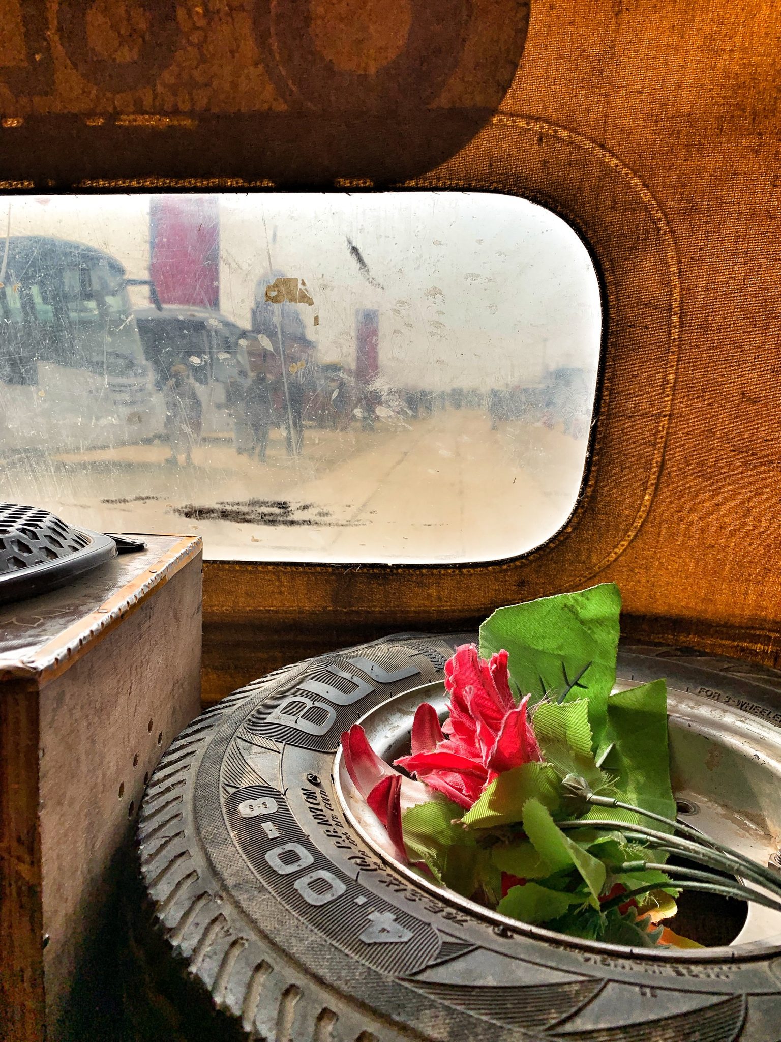 Flower perched on spare tire in the back of a tuk tuk.