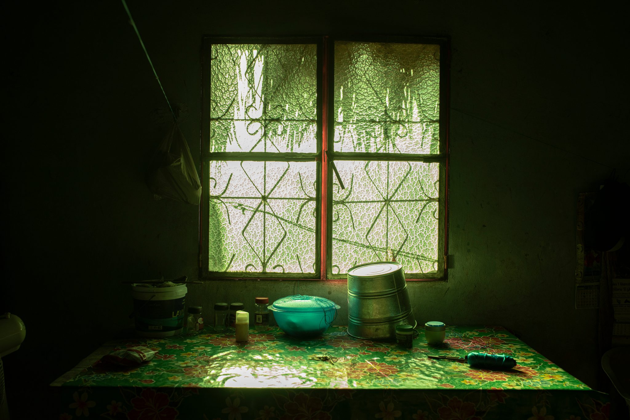 Green light pours through a window onto the kitchen table.