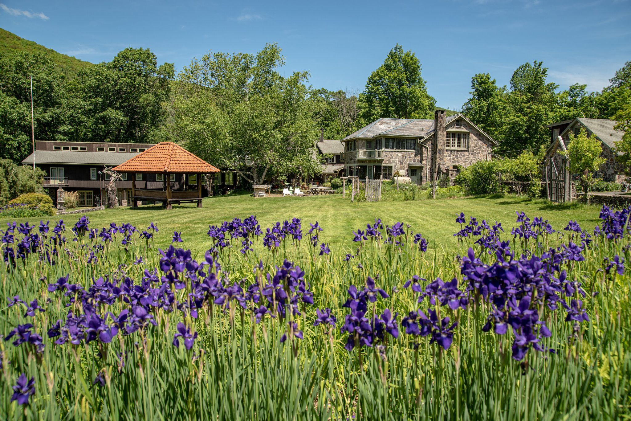 Purple irises crowd the foreground in early June, with stone cottages and an orange-roofed garden pavilion behind.