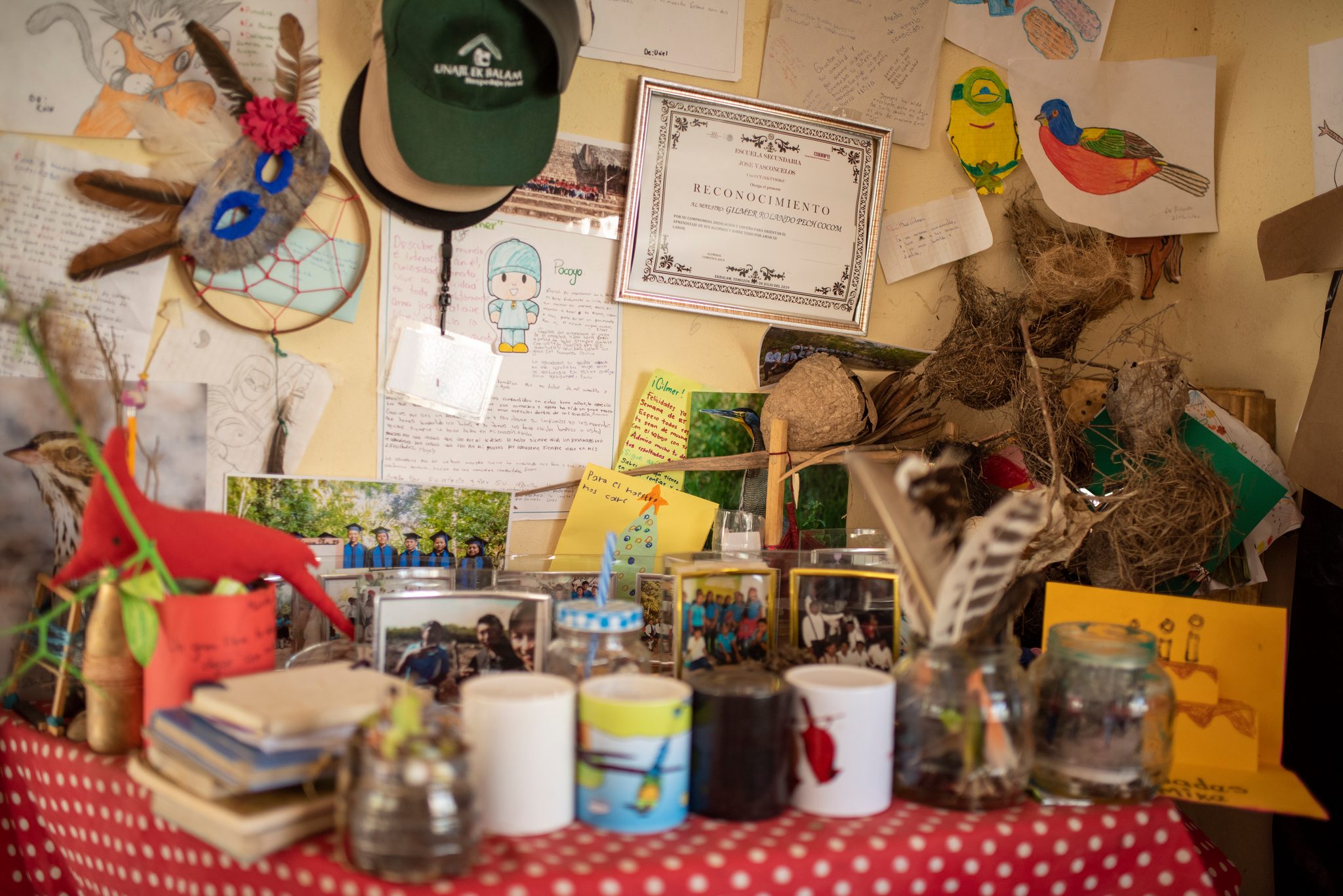 Crafts, feathers, drawings and a certificate crowd a classroom wall.