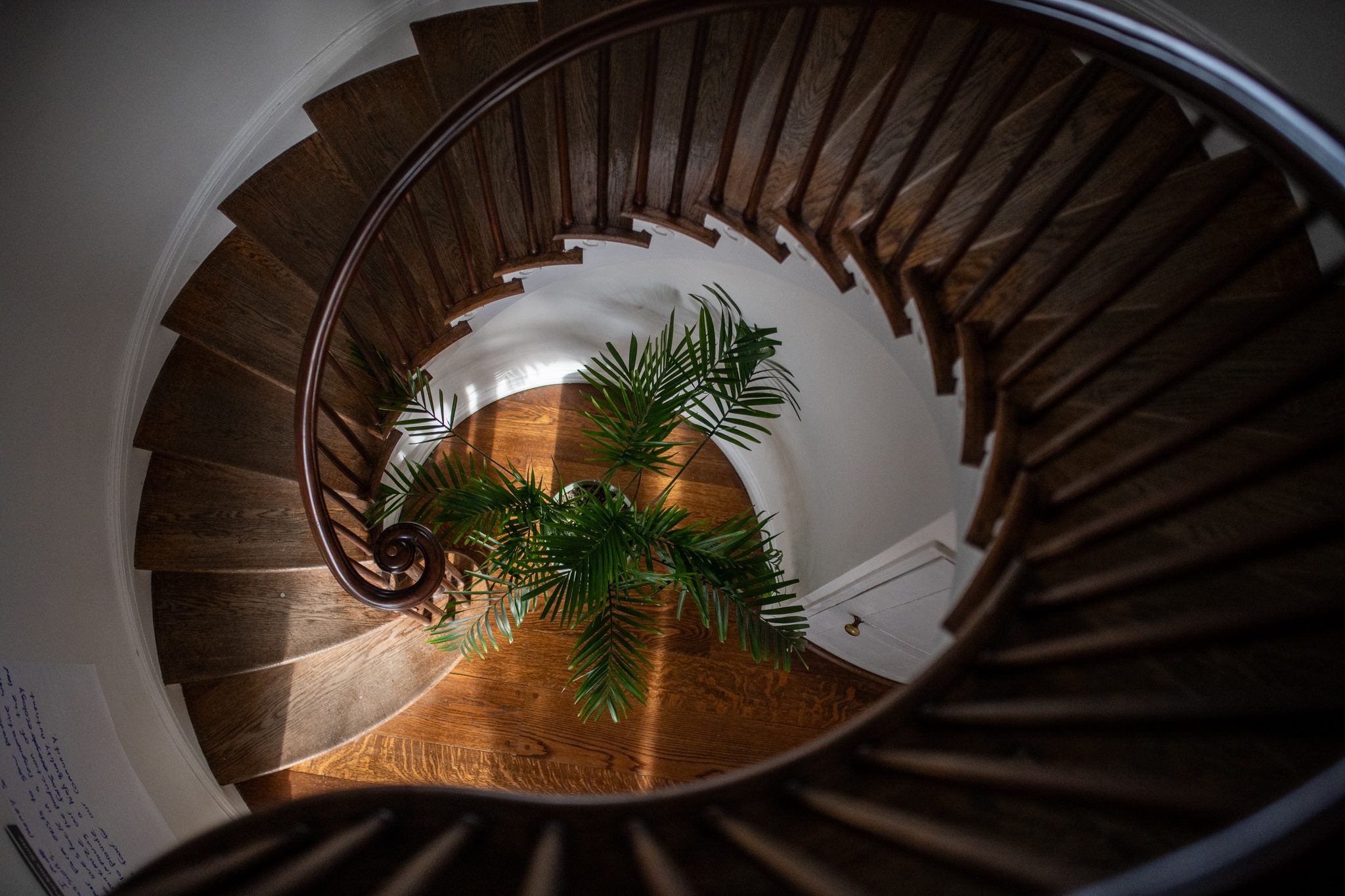 Looking down the spiral staircase to a potted palm on the floor below.